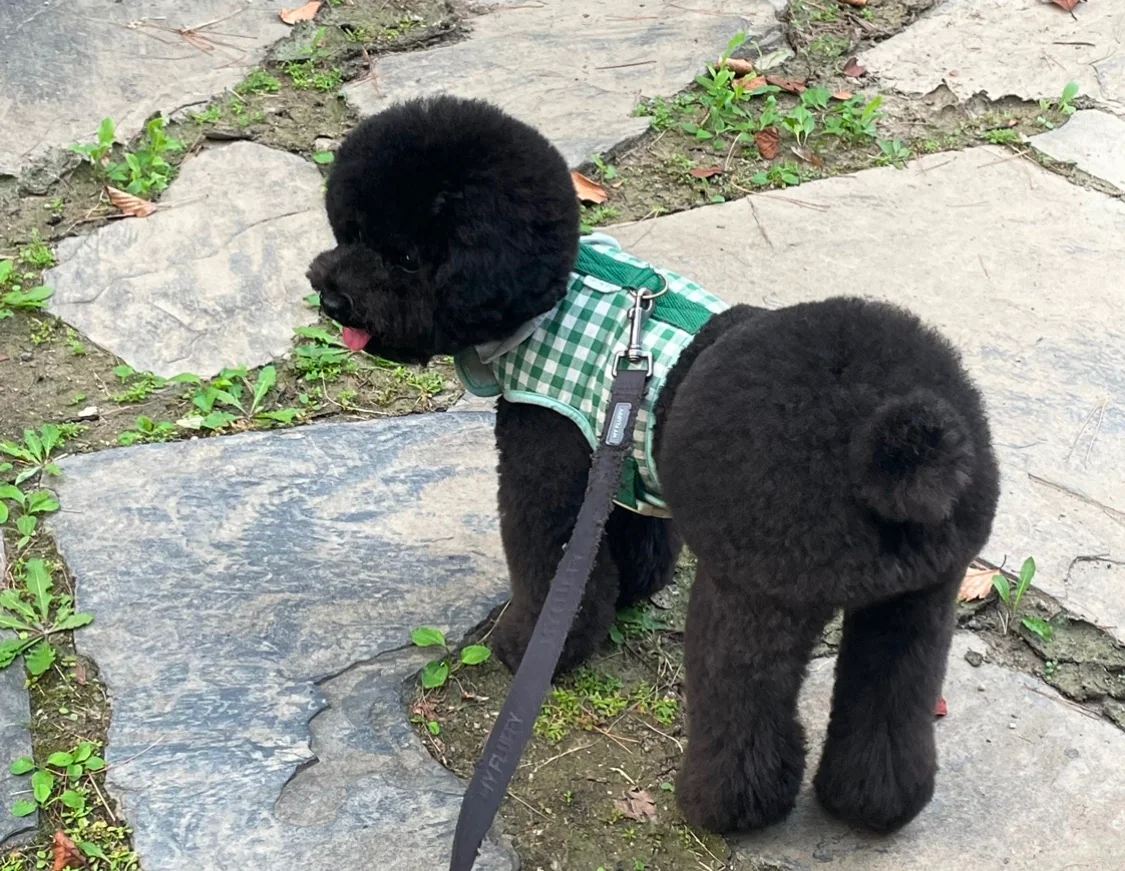 리뷰 사진 1