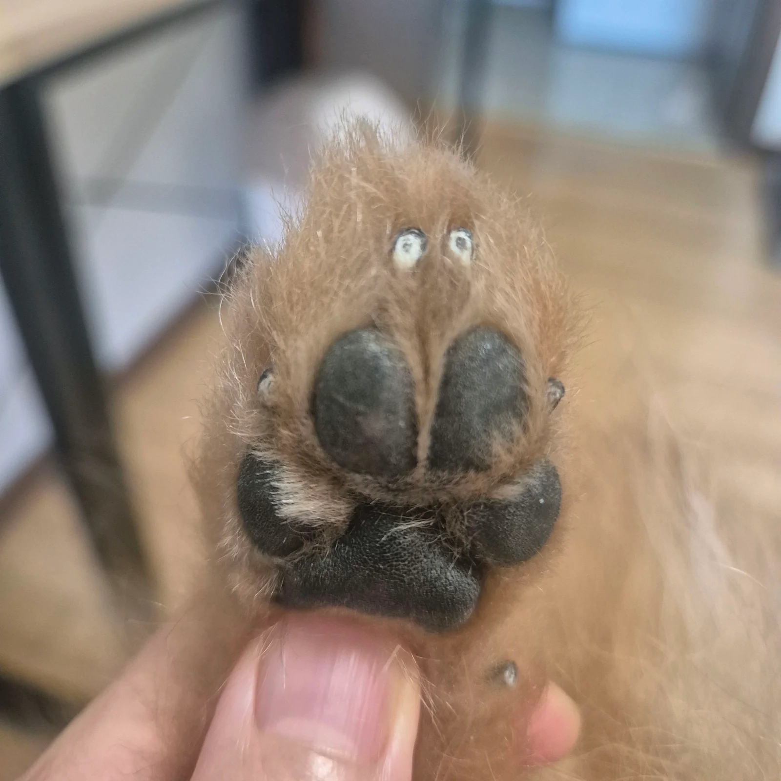 리뷰 사진 1