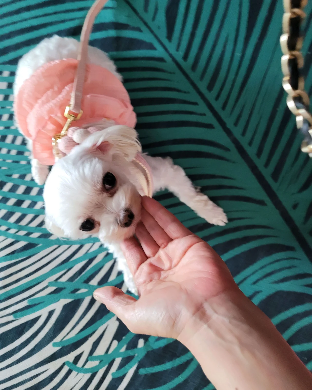 리뷰 사진 1