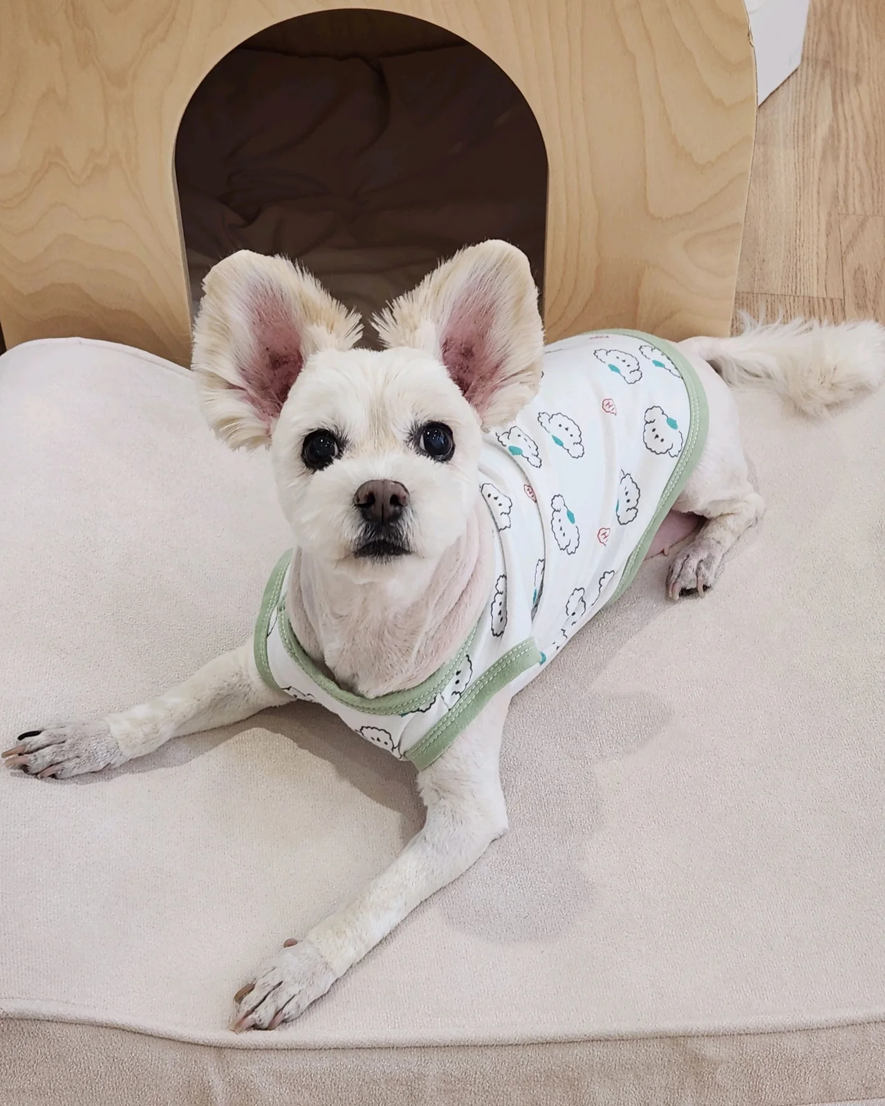 리뷰 사진 3