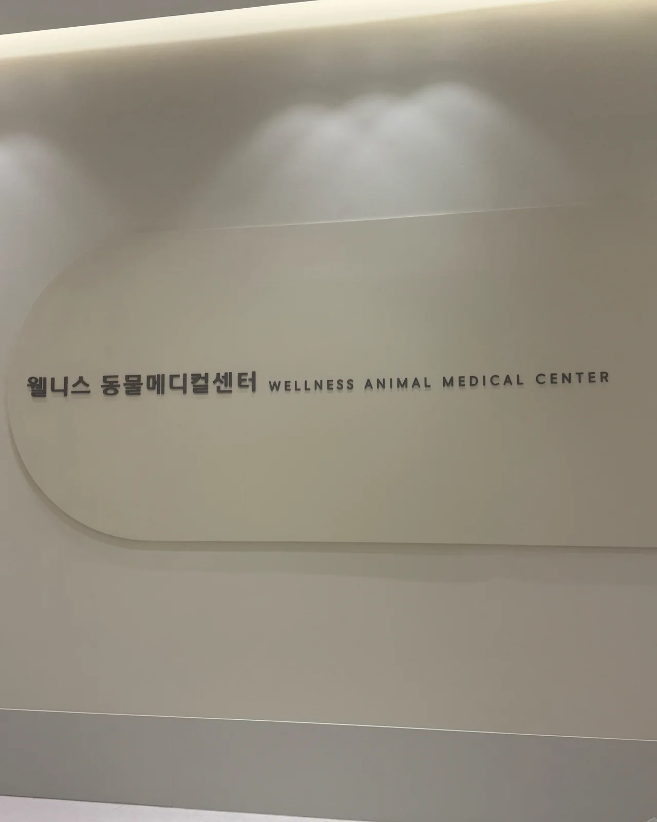리뷰 사진 1