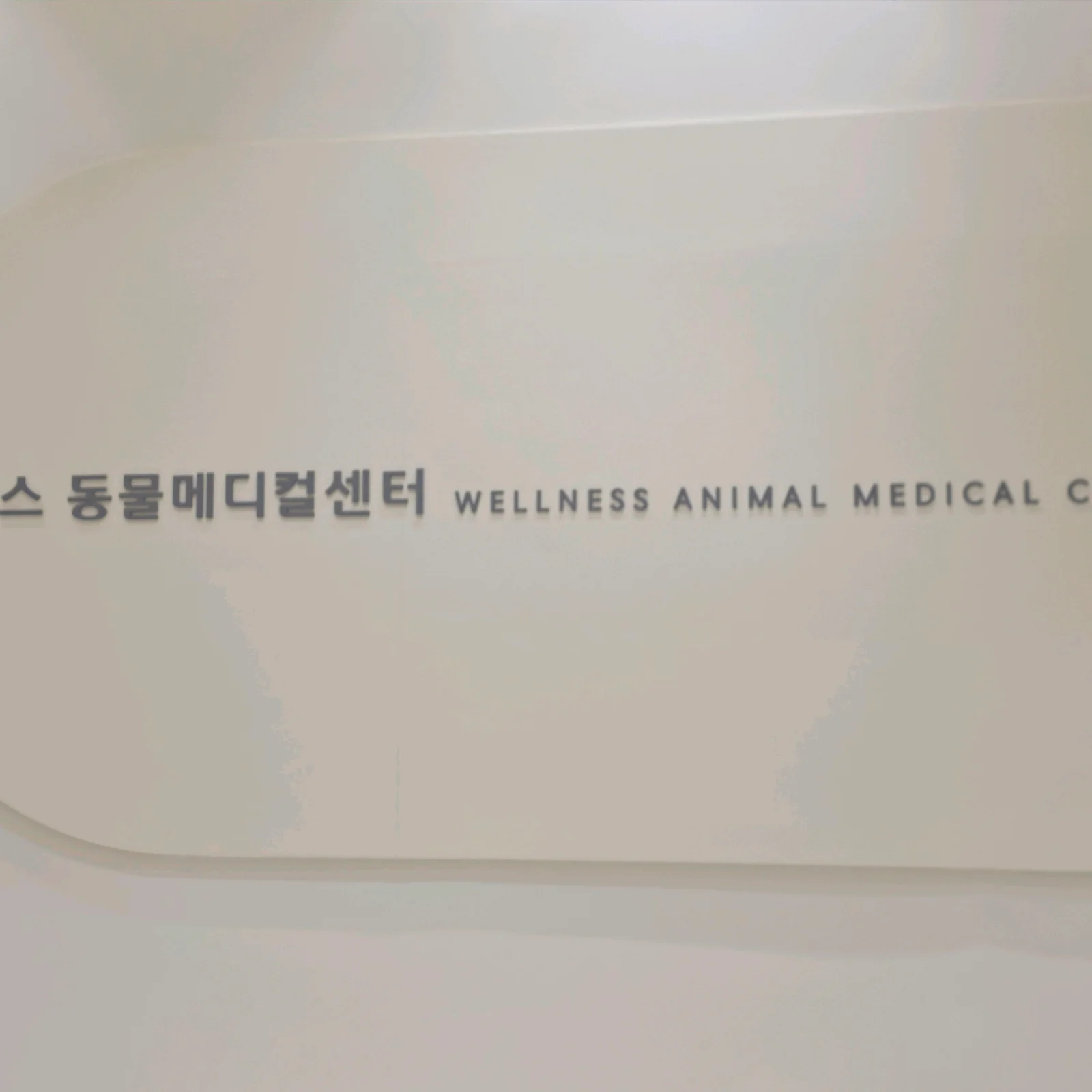 리뷰 사진 1