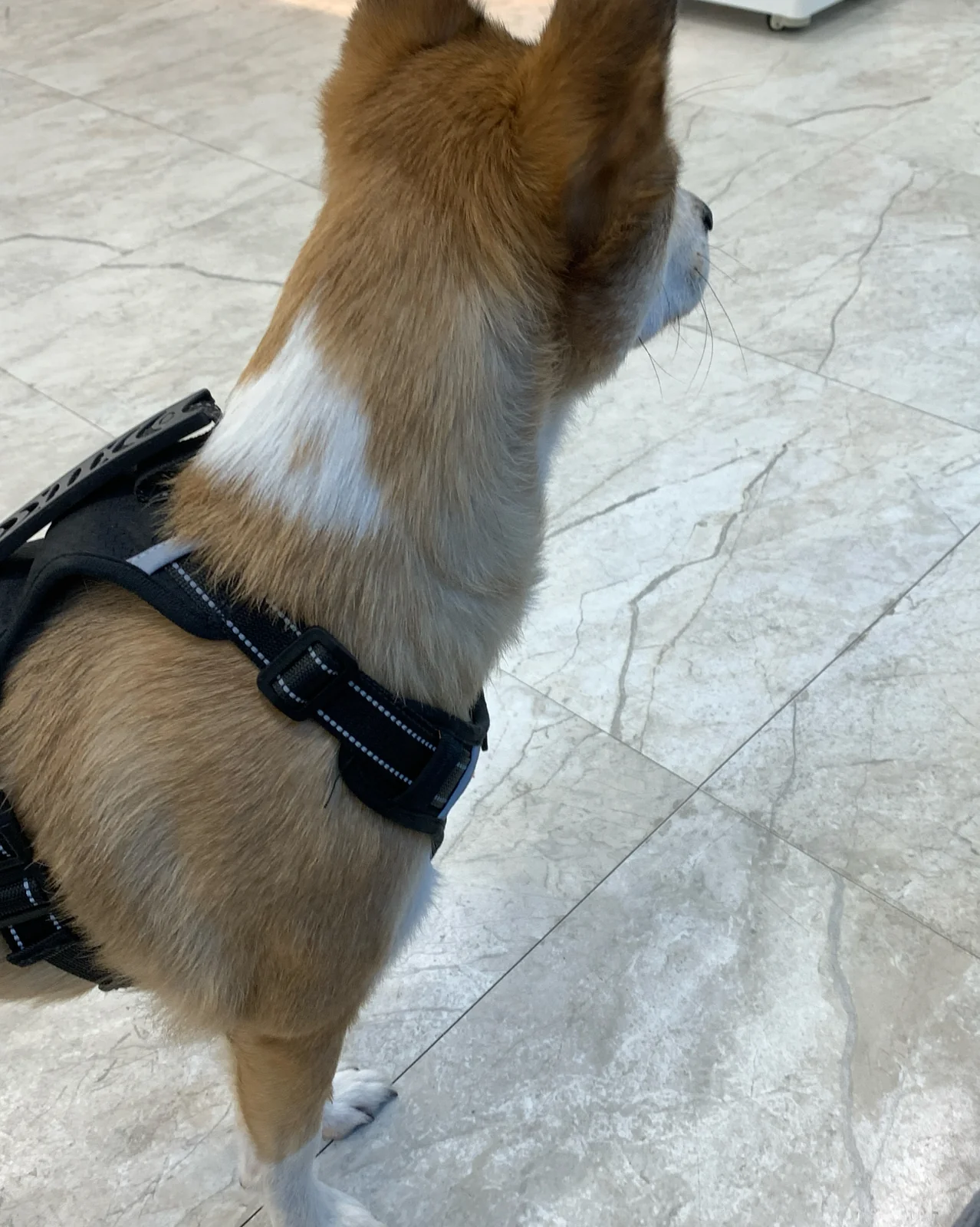 리뷰 사진 1