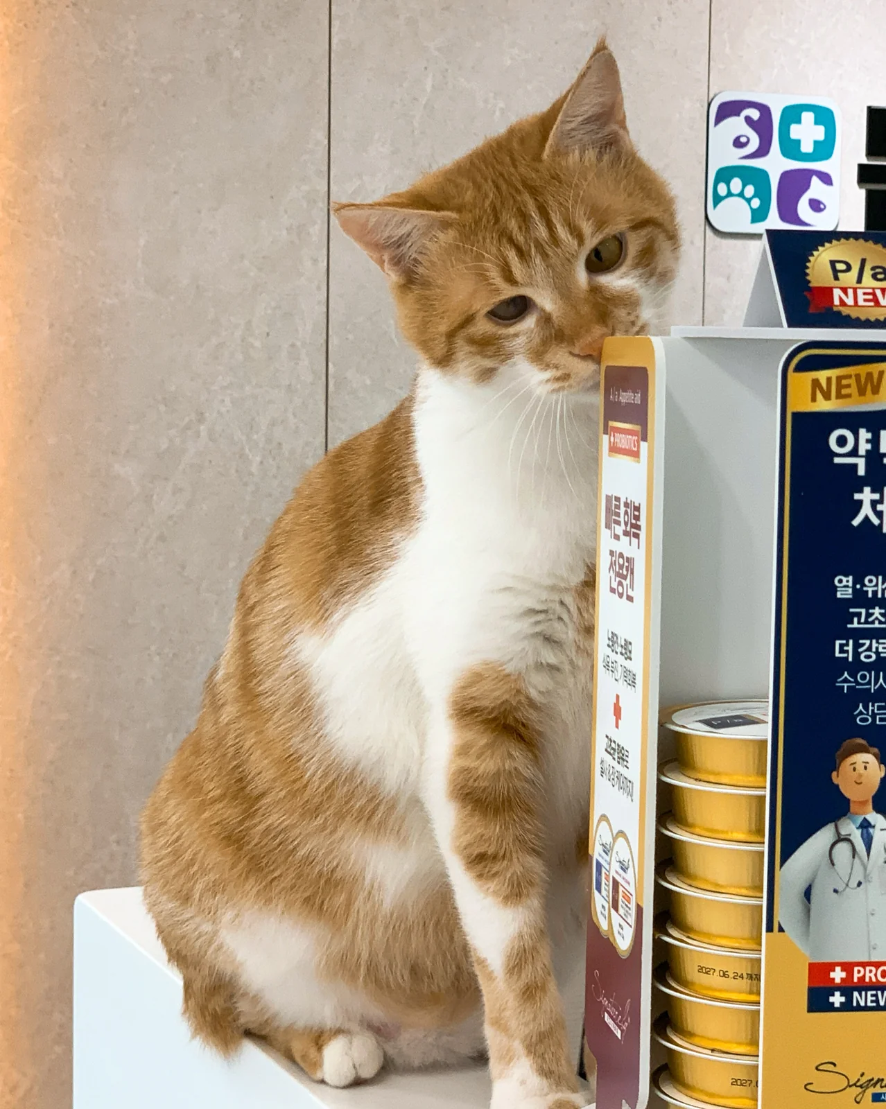 리뷰 사진 6