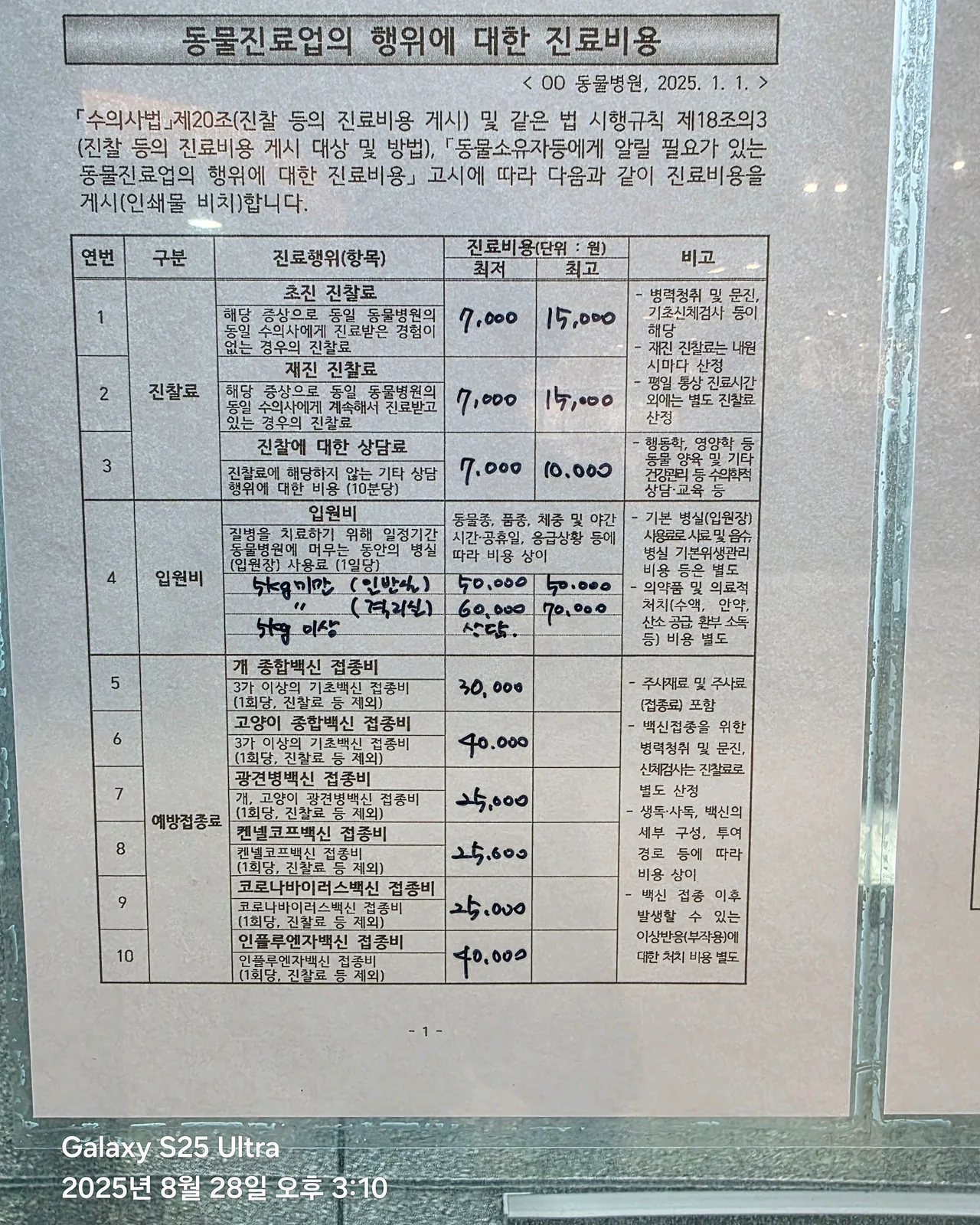 리뷰 사진 1