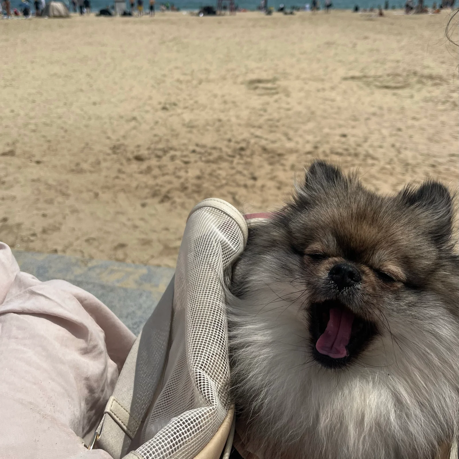 행복플러스동물병원 사진 2