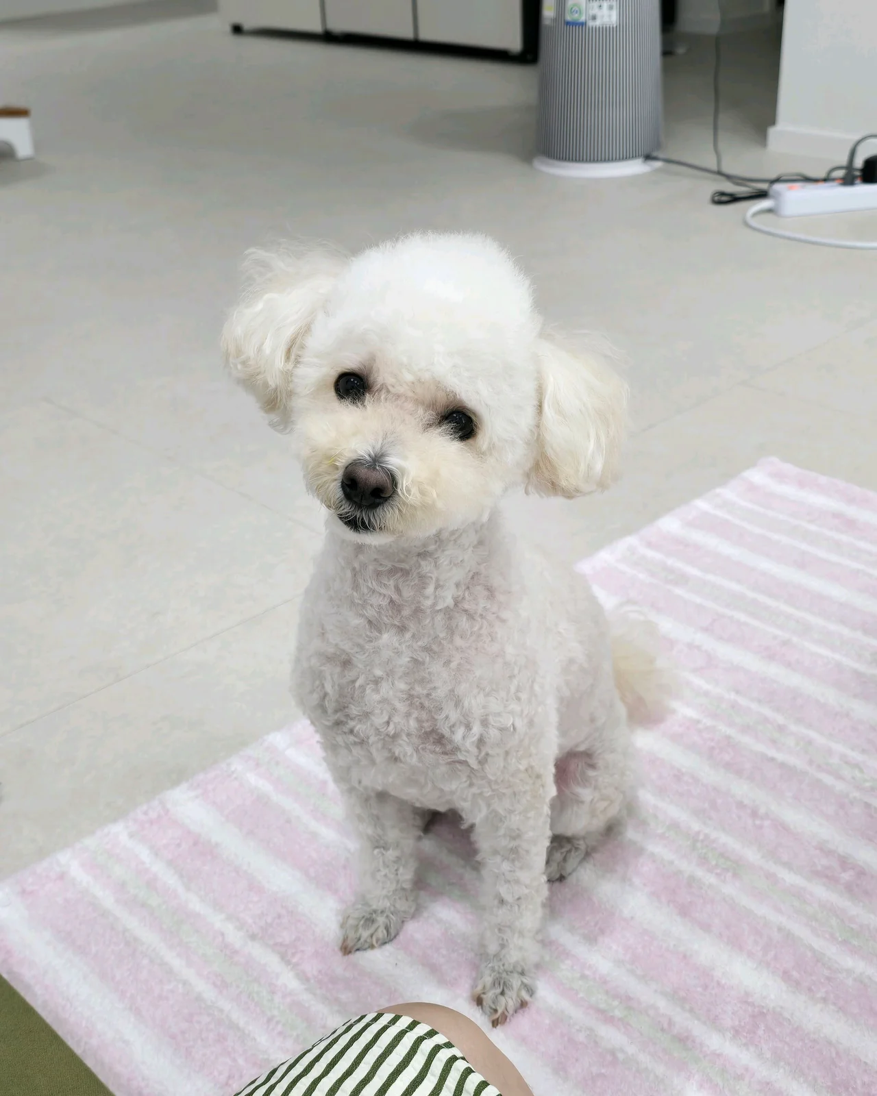 리뷰 사진 1