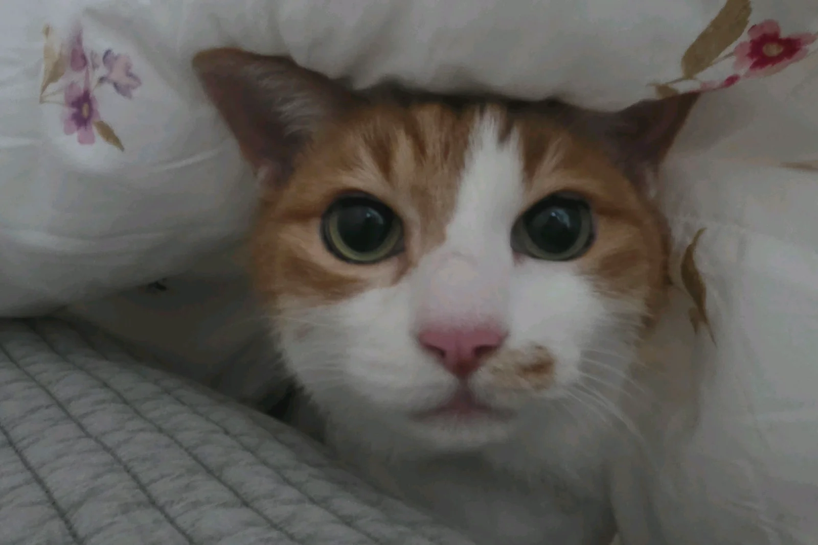 리뷰 사진 2