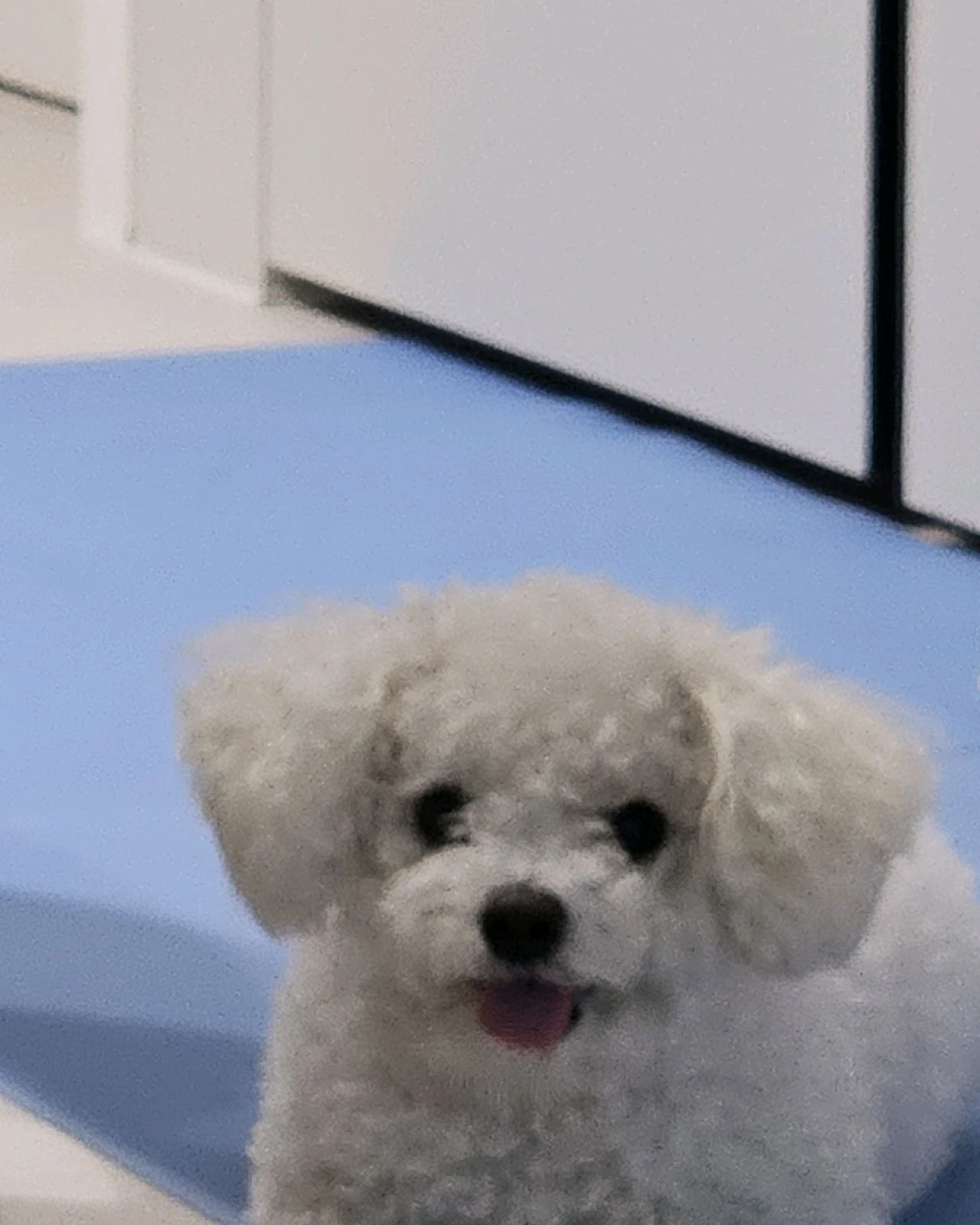 리뷰 사진 1