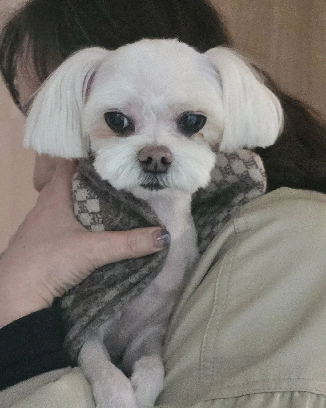 리뷰 사진 1
