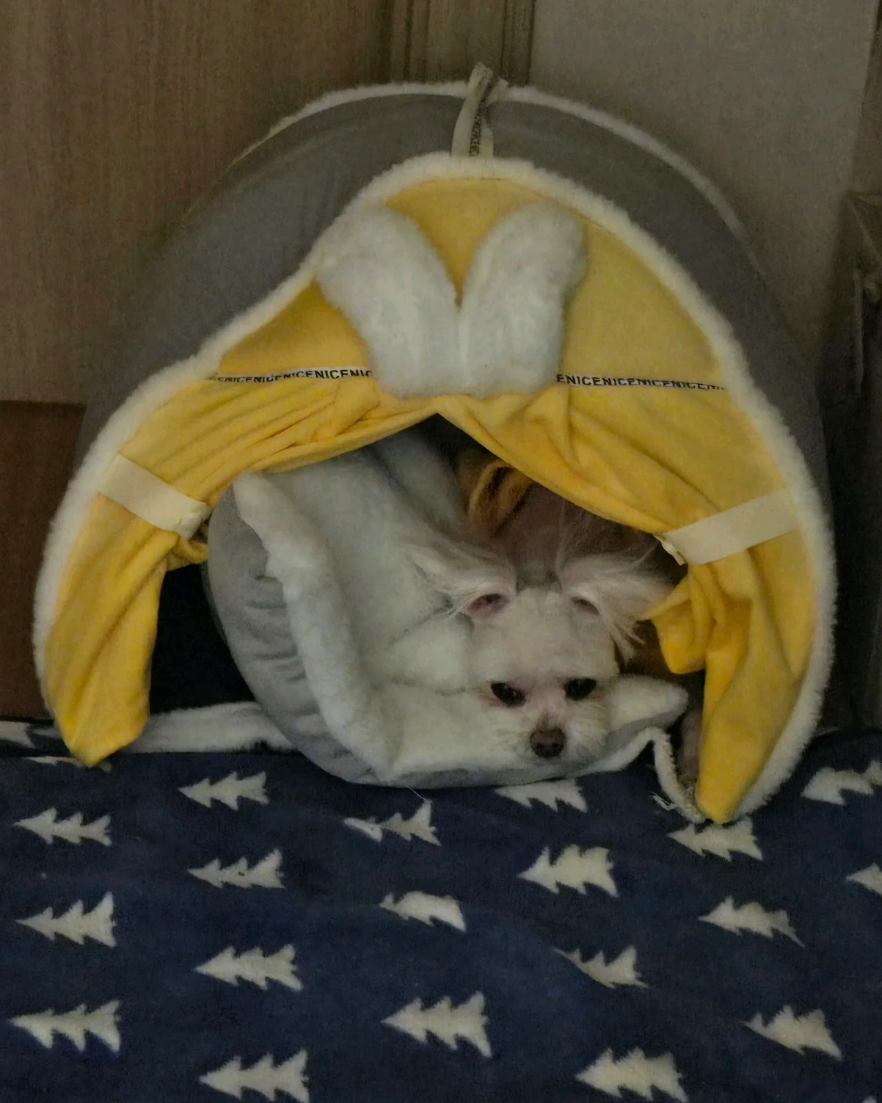 리뷰 사진 2