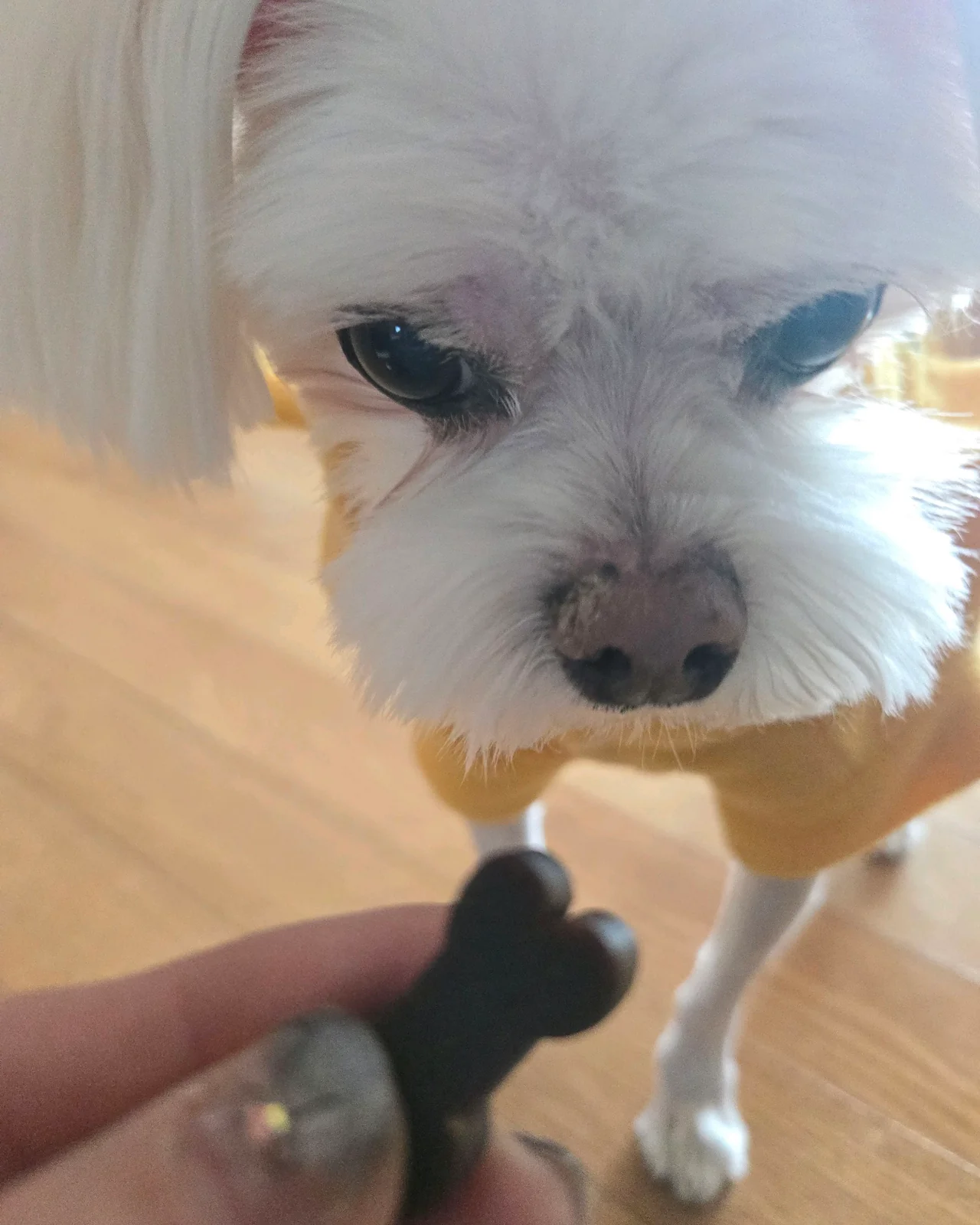리뷰 사진 3