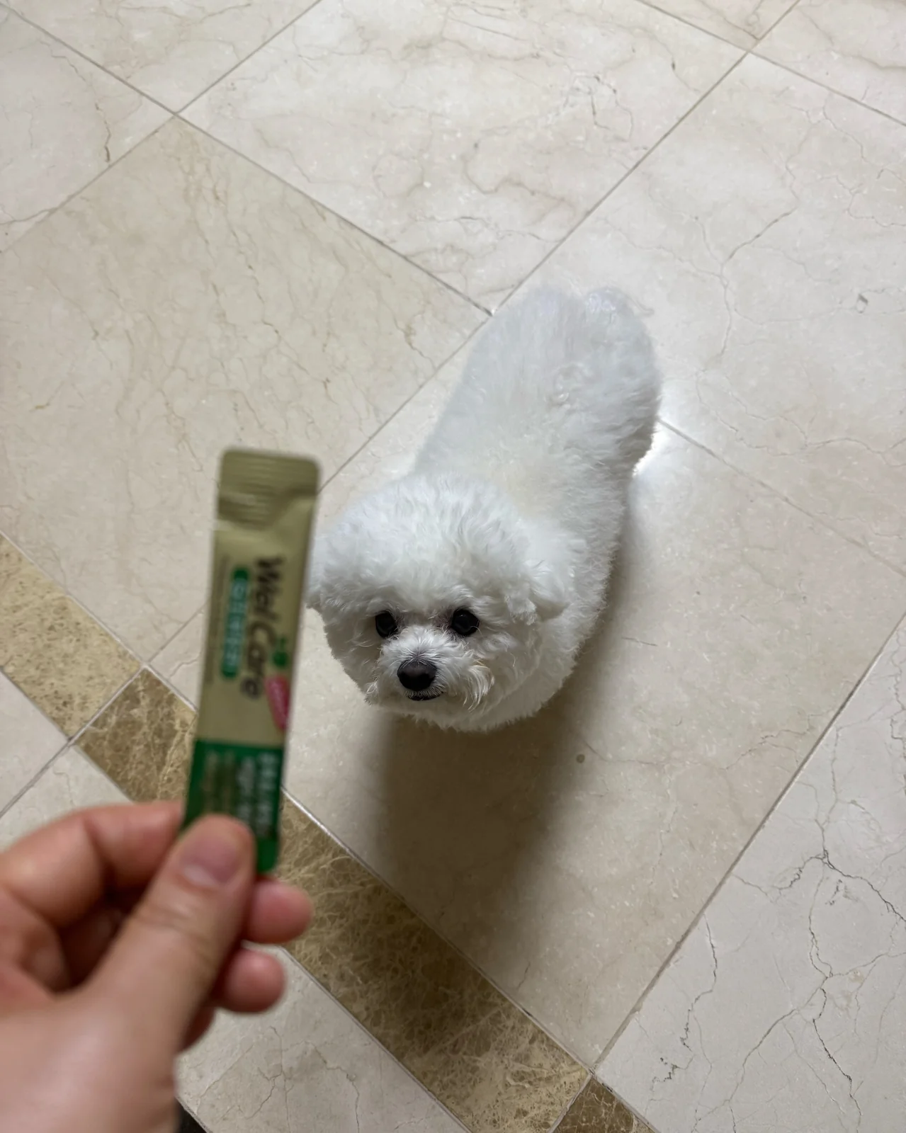 리뷰 사진 2