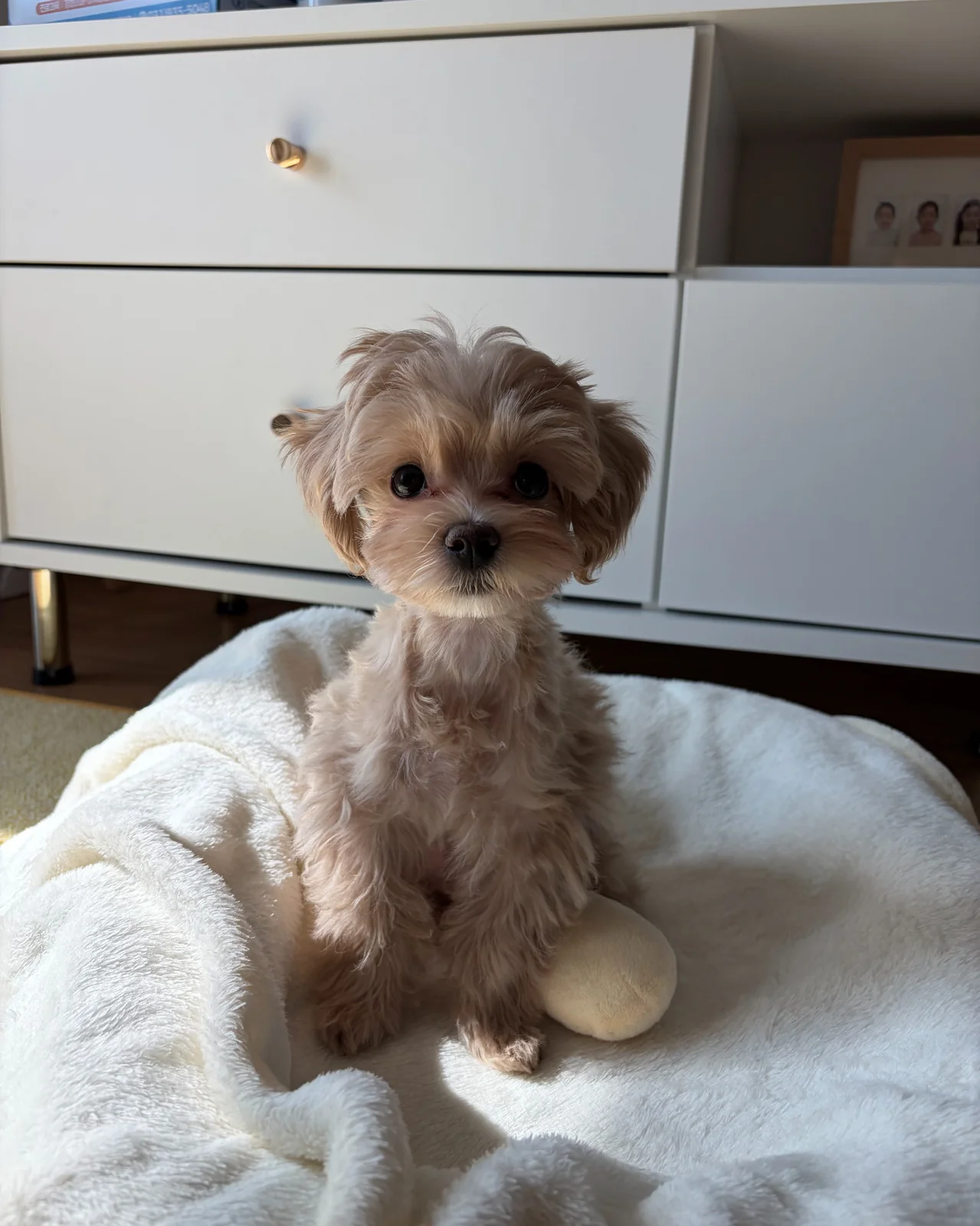 리뷰 사진 1