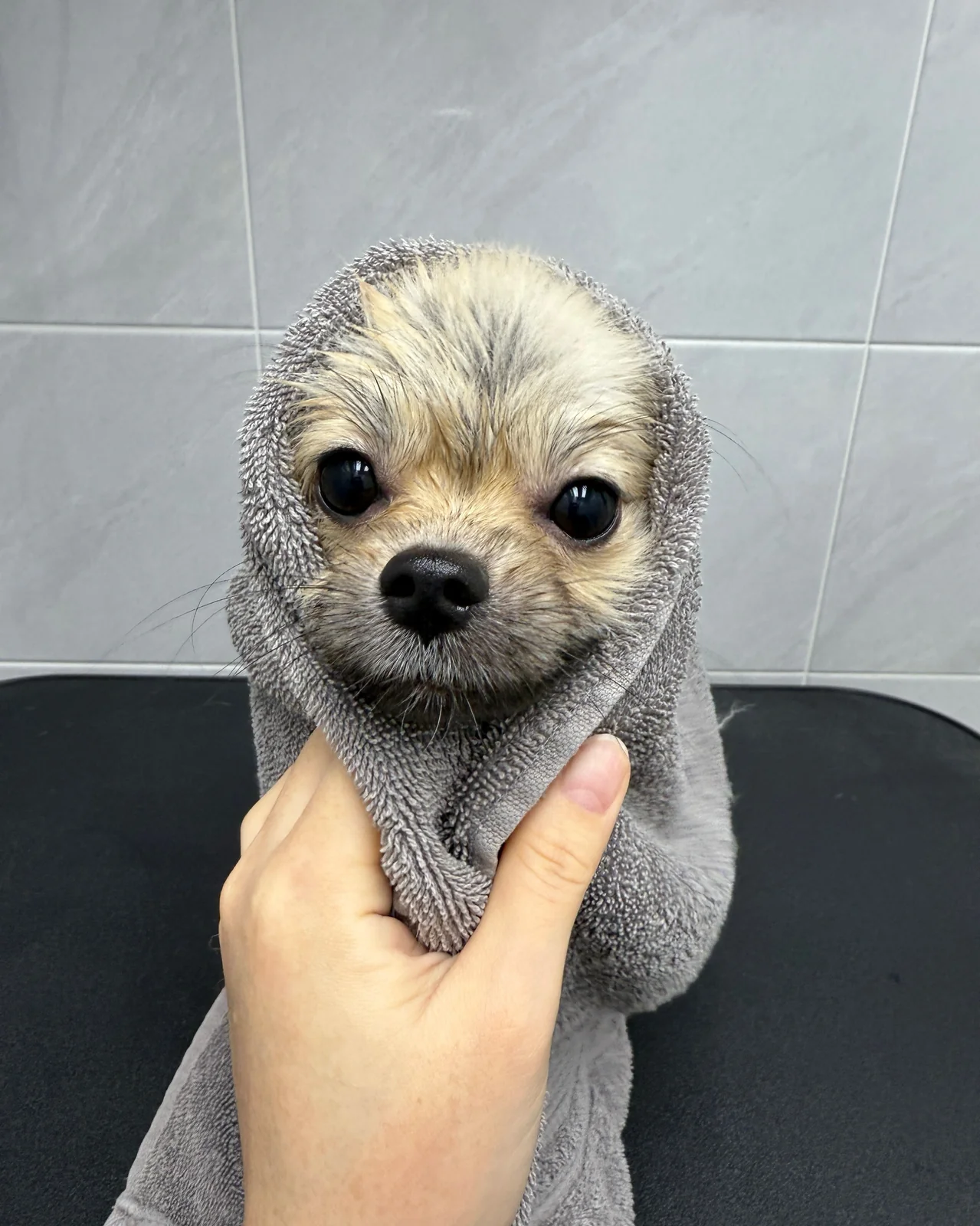 리뷰 사진 1