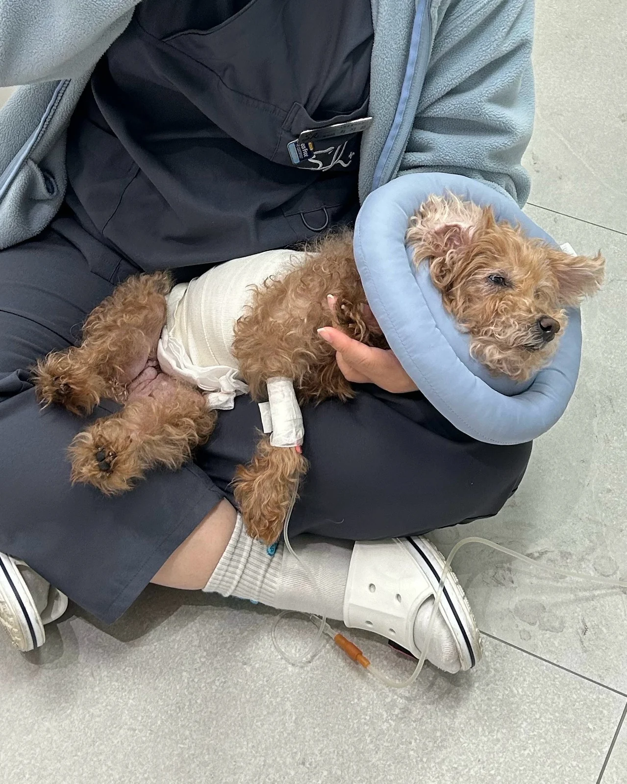 리뷰 사진 1