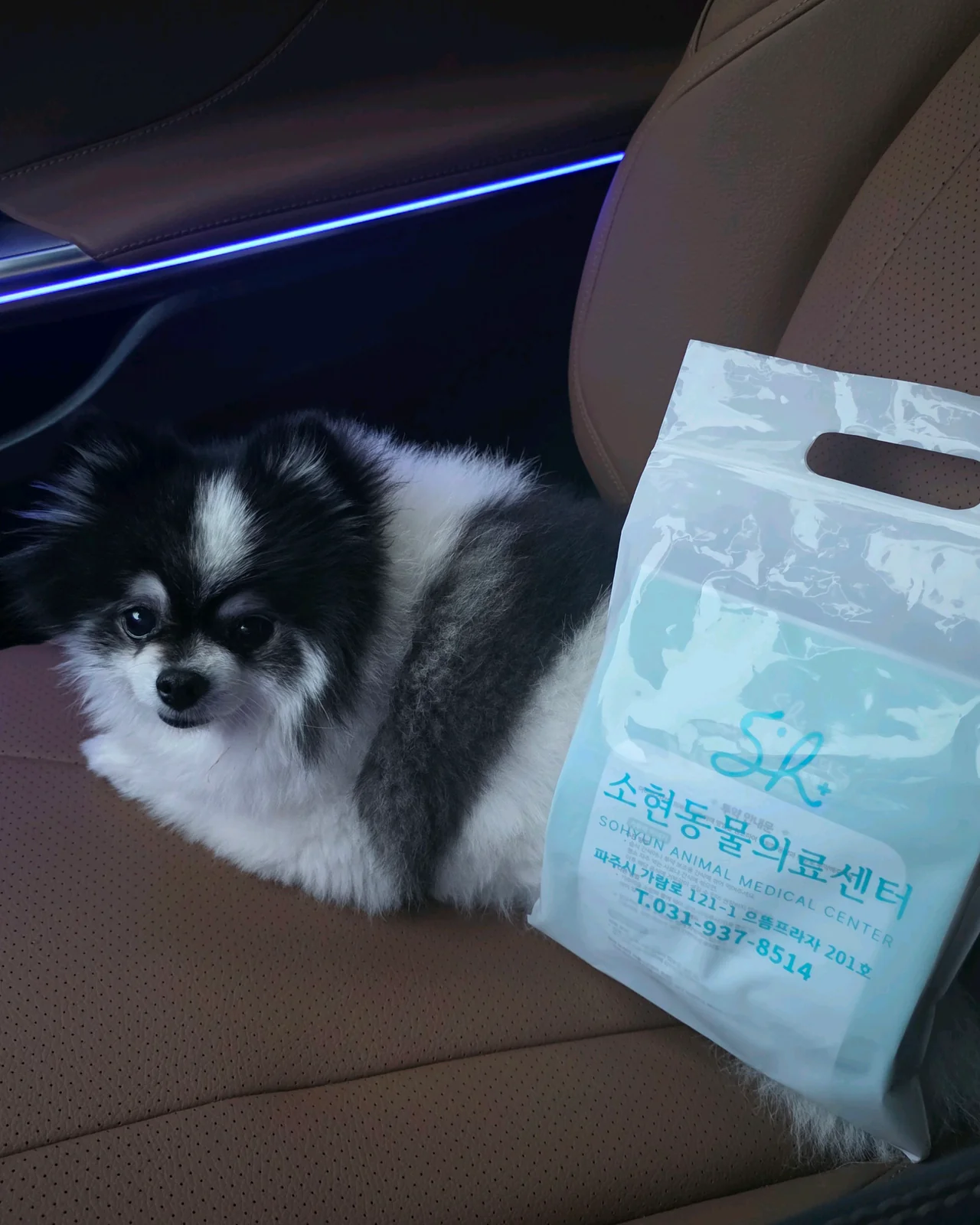 리뷰 사진 1