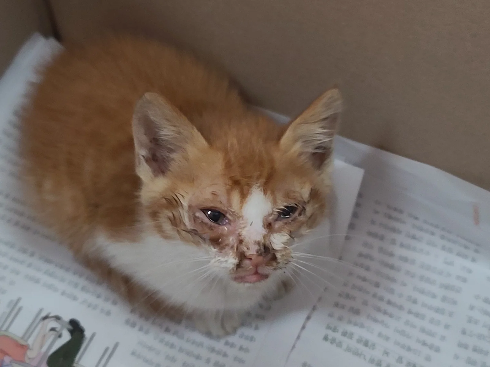 제일동물병원 사진 2