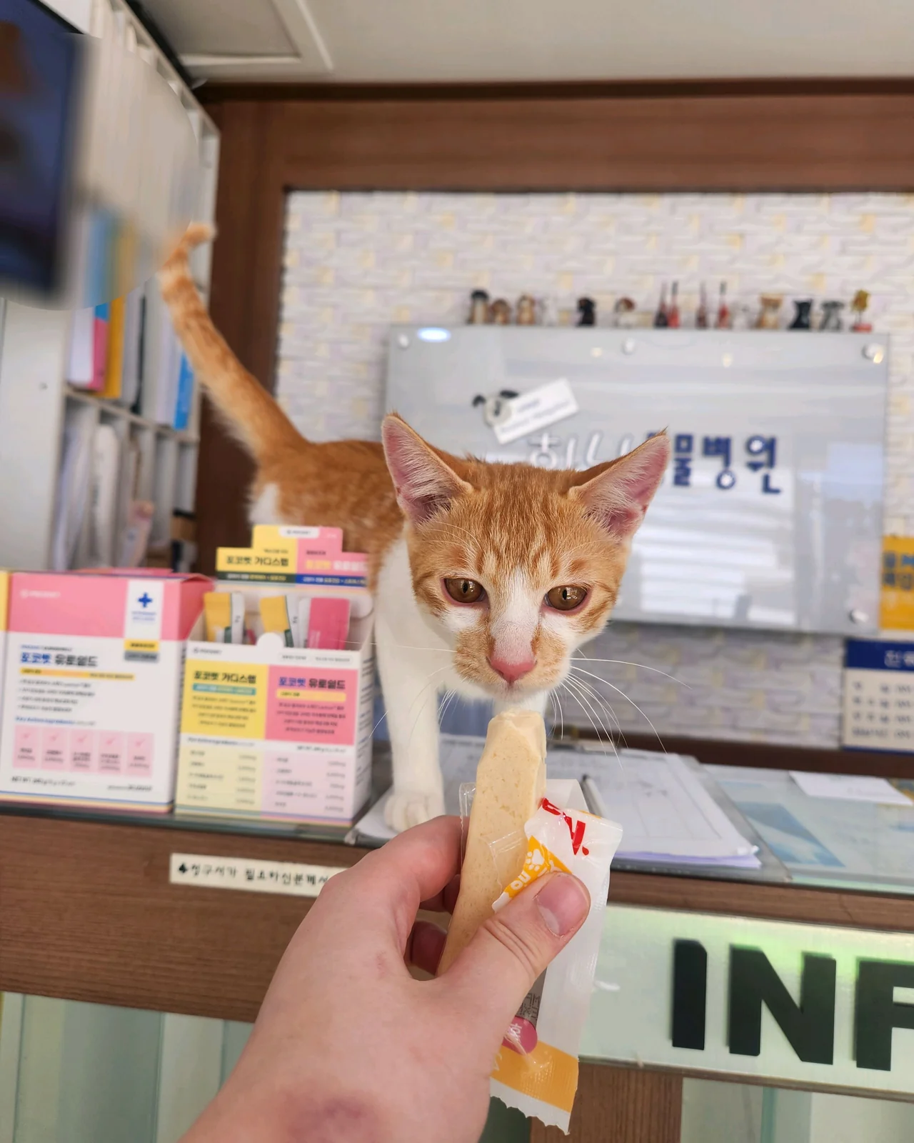 리뷰 사진 1