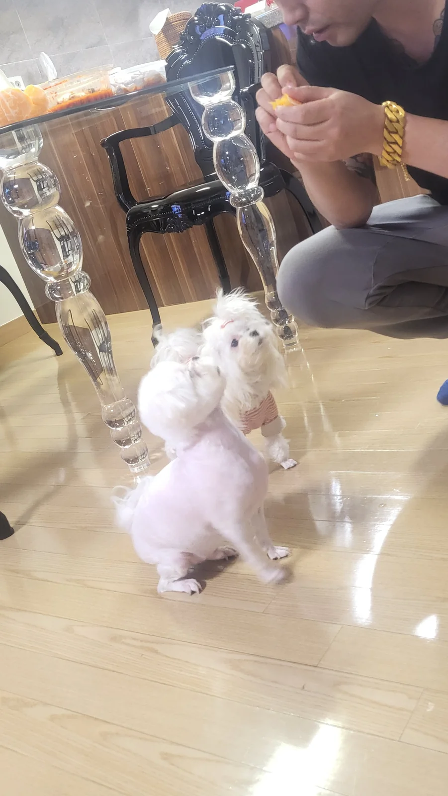 리뷰 사진 1