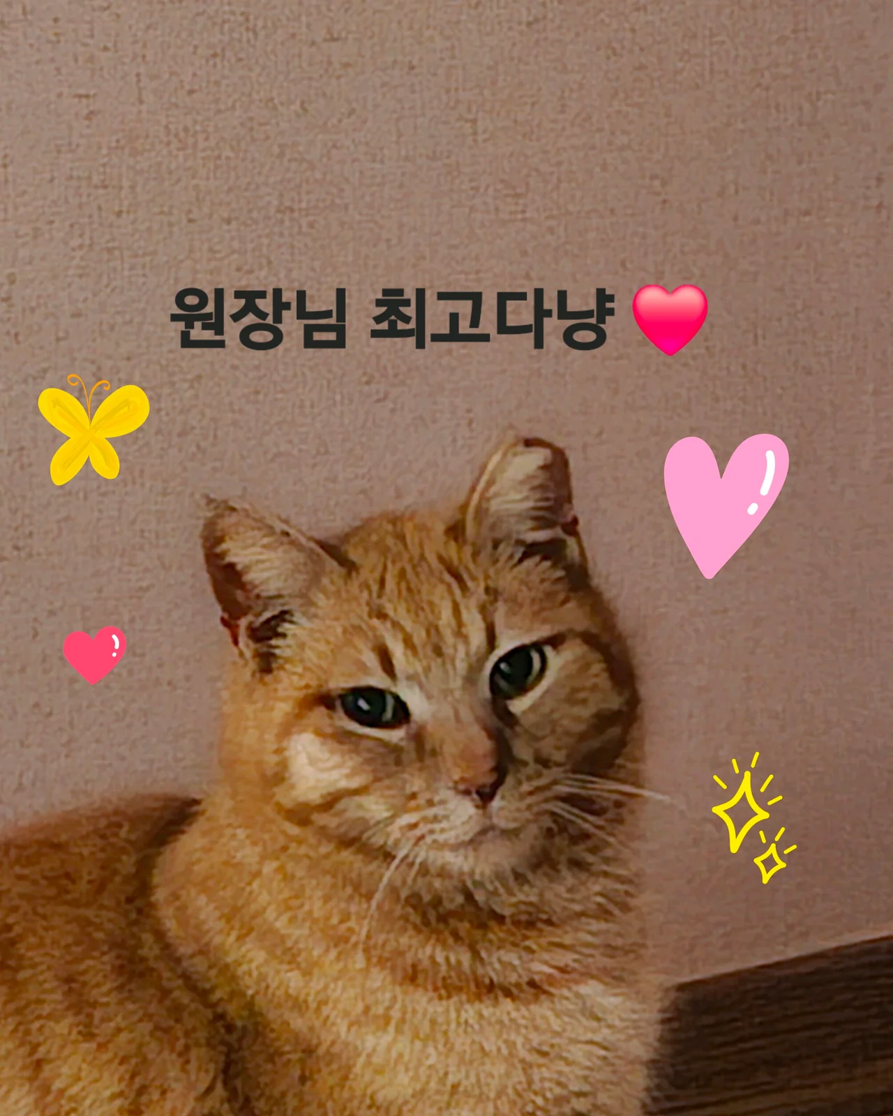 리뷰 사진 1