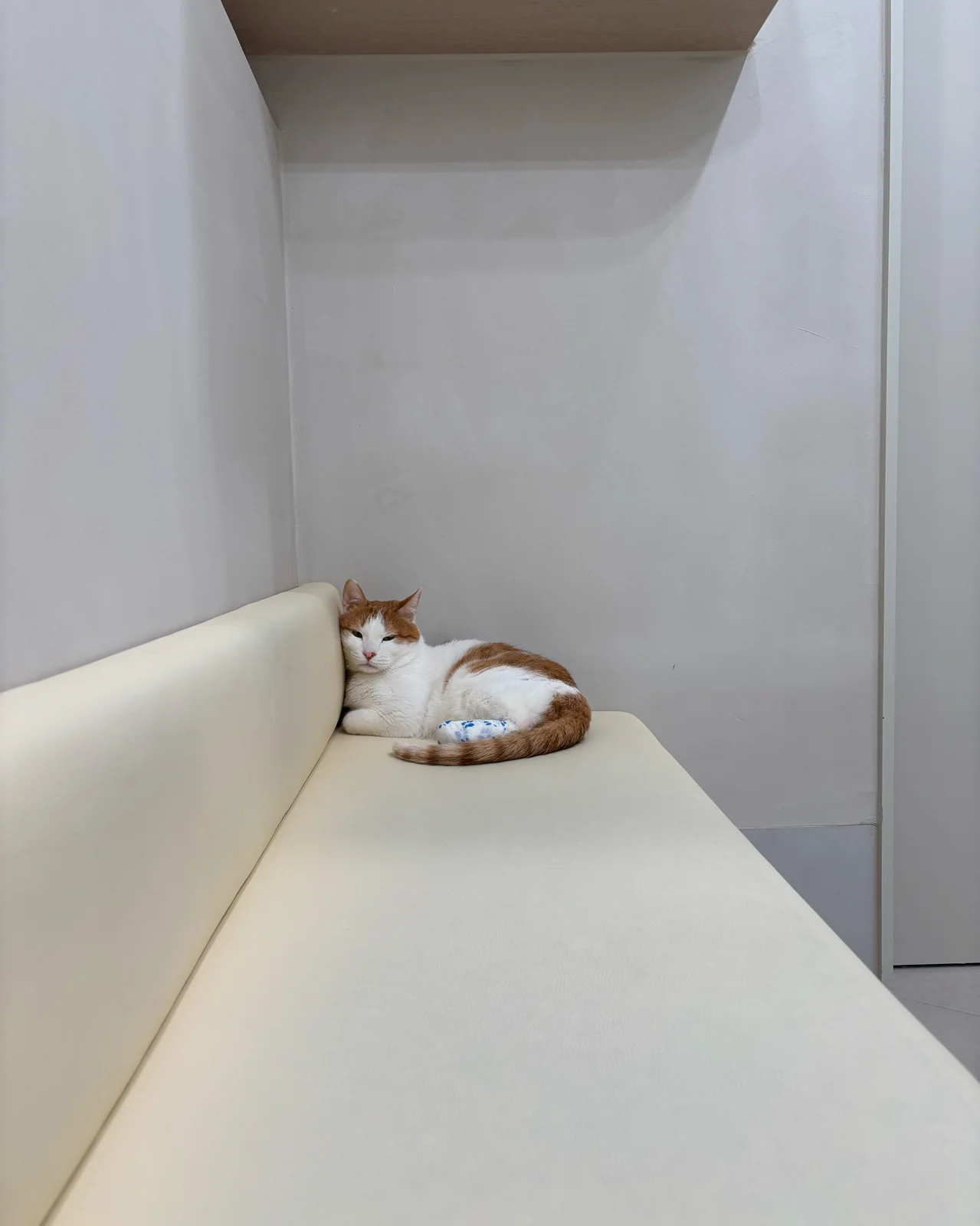 리뷰 사진 1