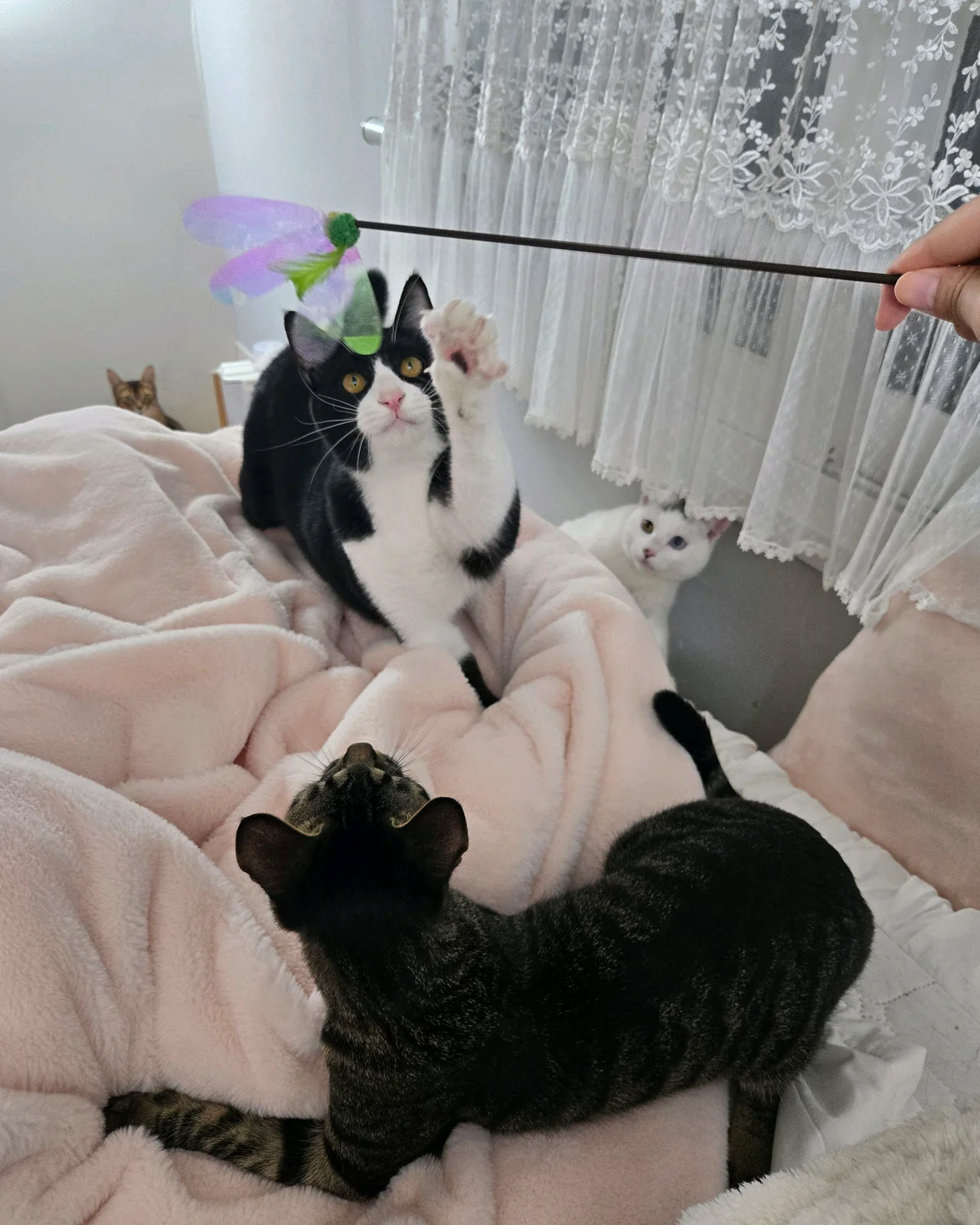 리뷰 사진 1