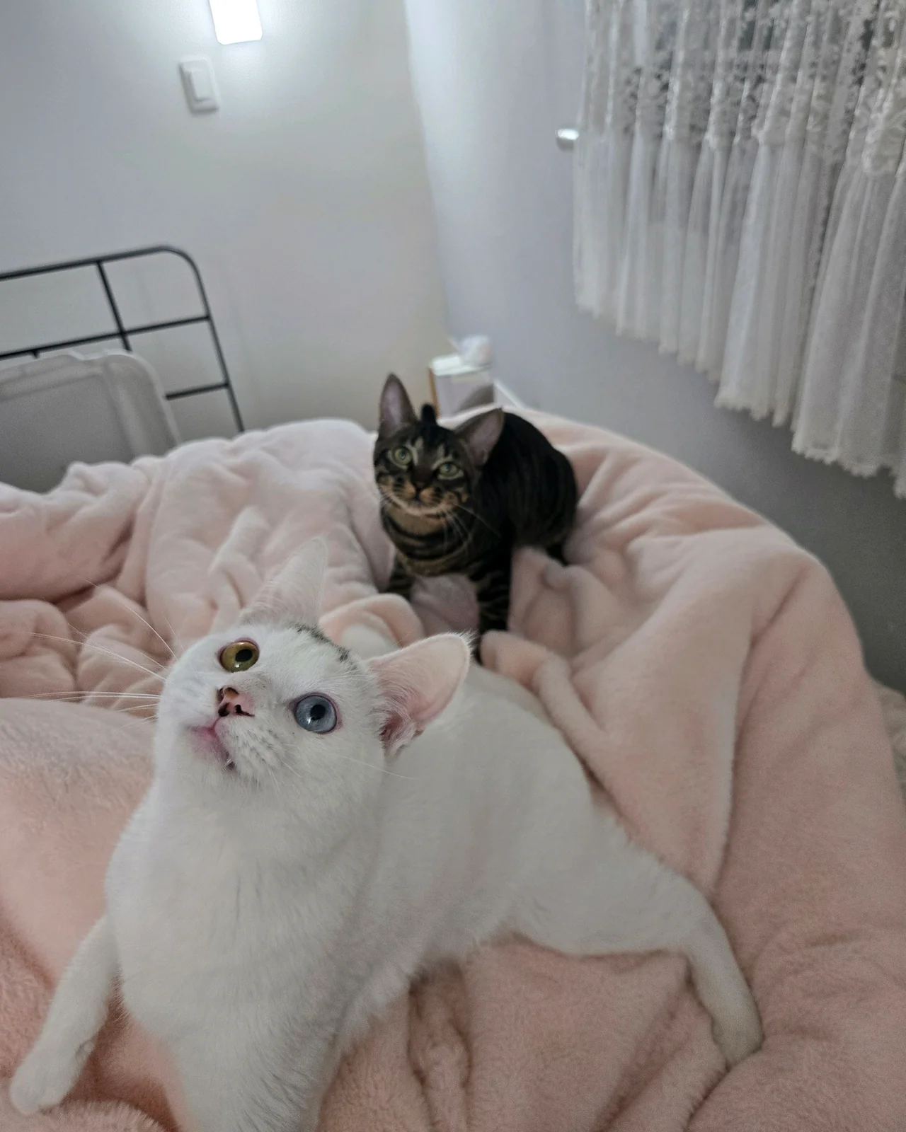 리뷰 사진 2