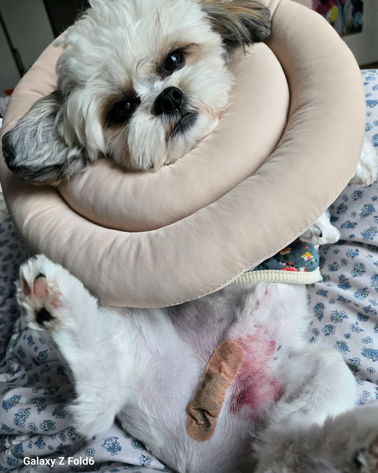 리뷰 사진 2