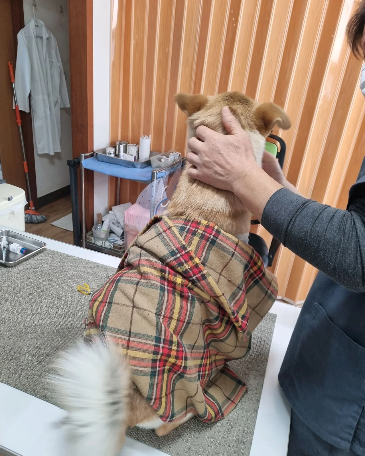 리뷰 사진 2