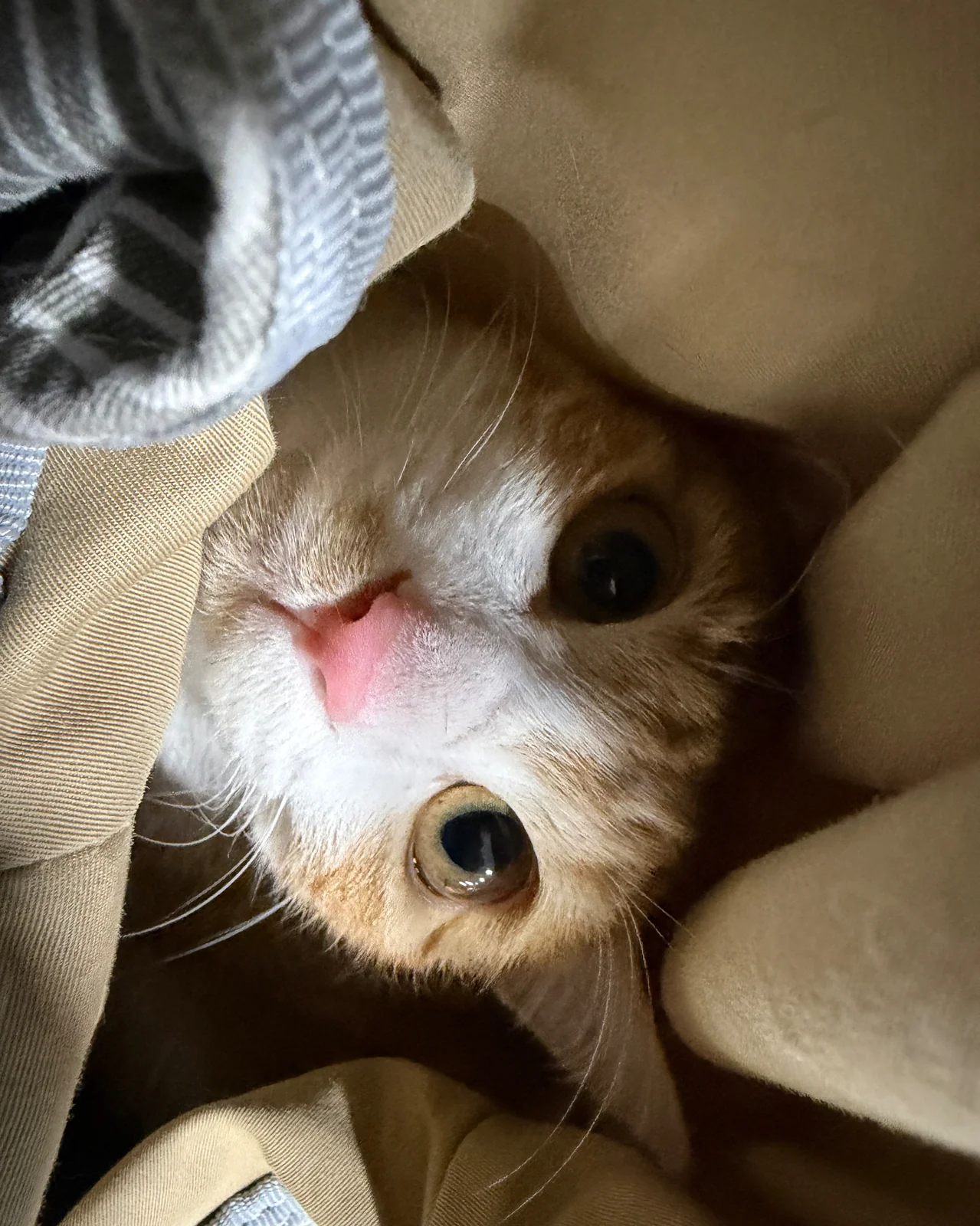 리뷰 사진 1