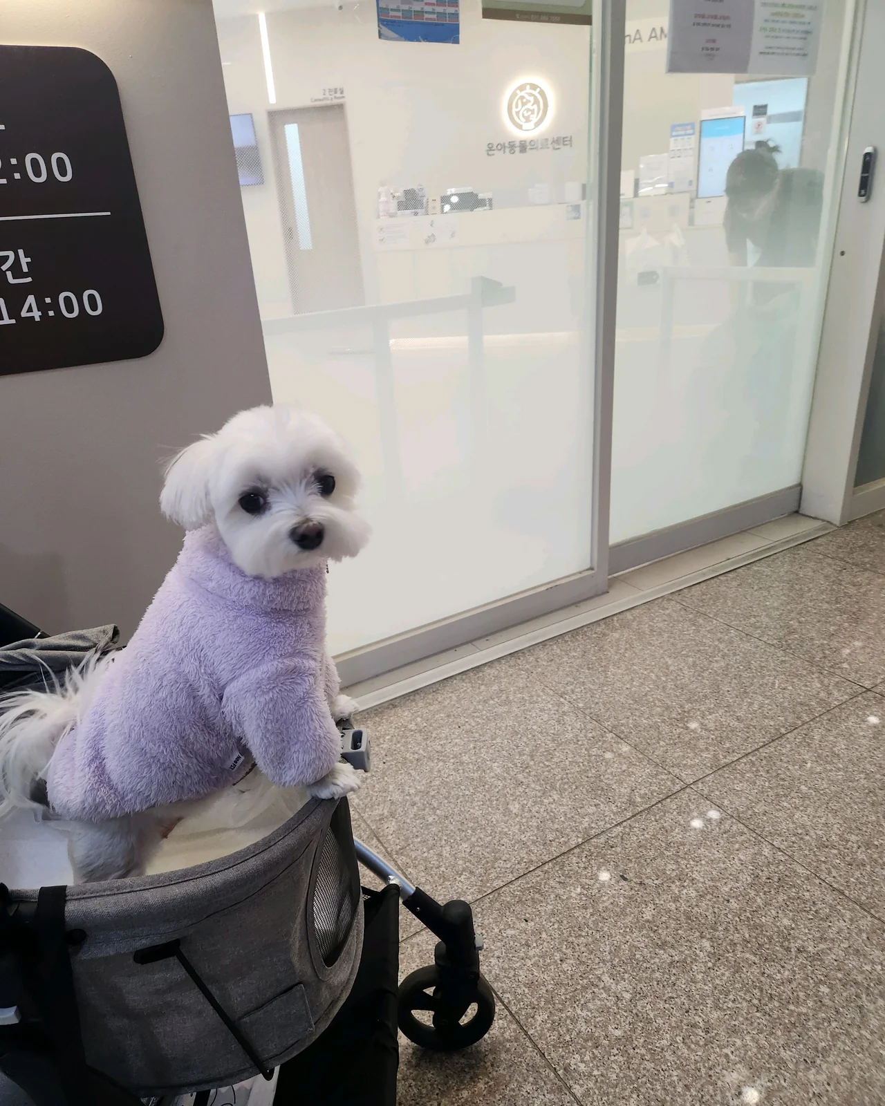 리뷰 사진 3