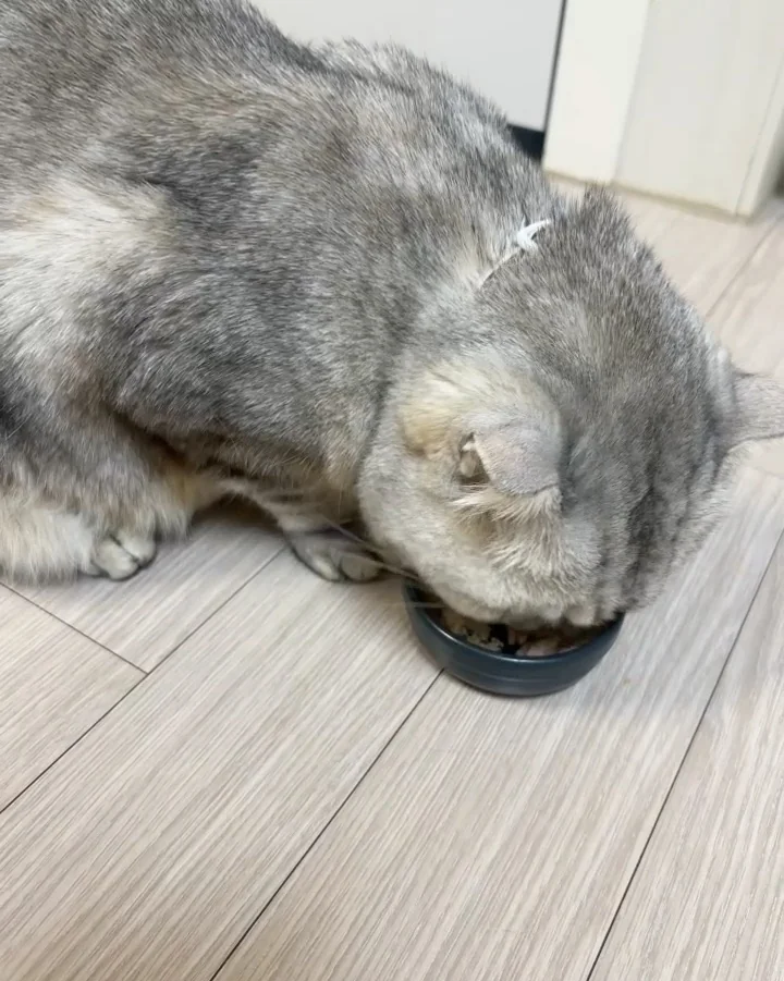리뷰 사진 1