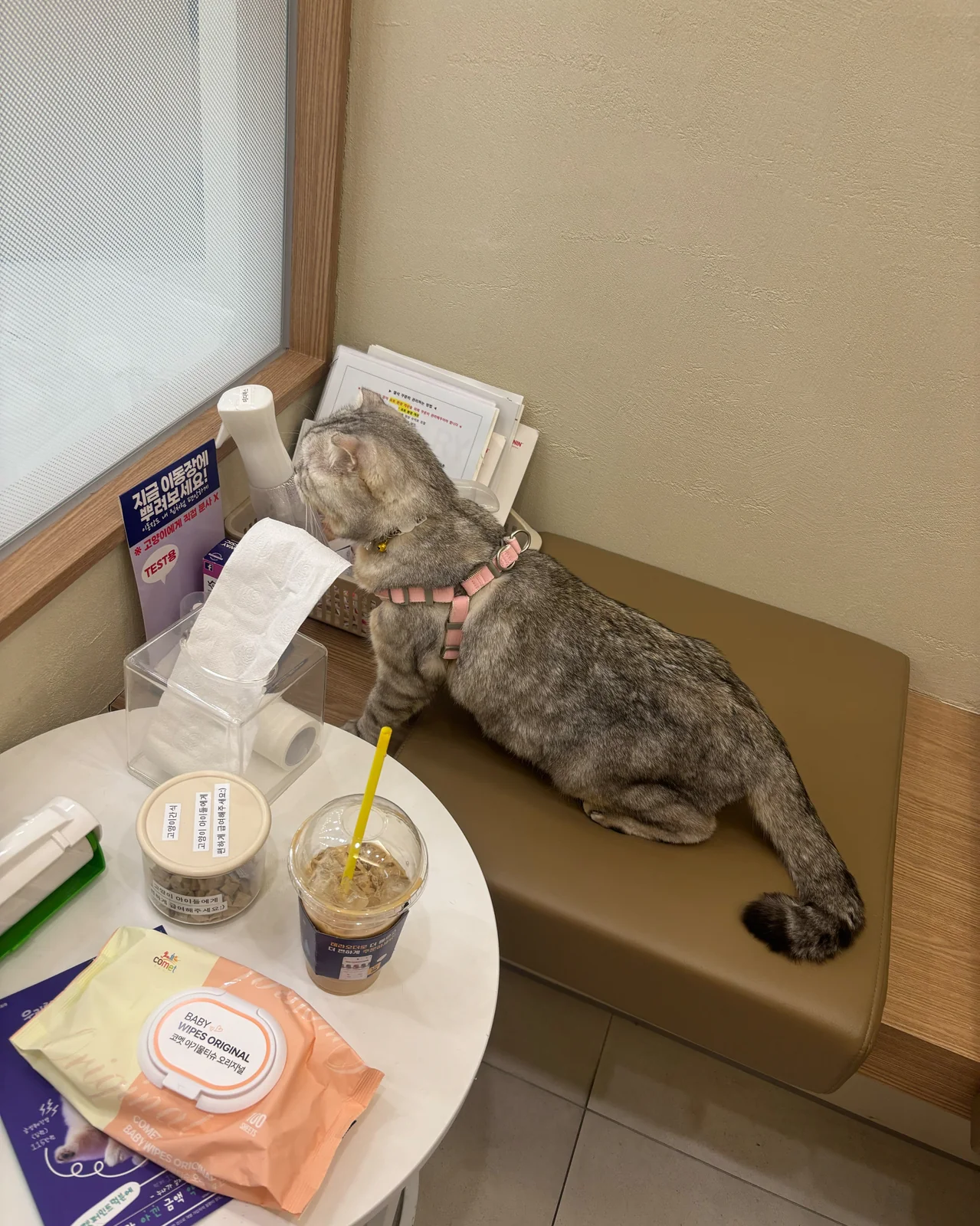 리뷰 사진 1