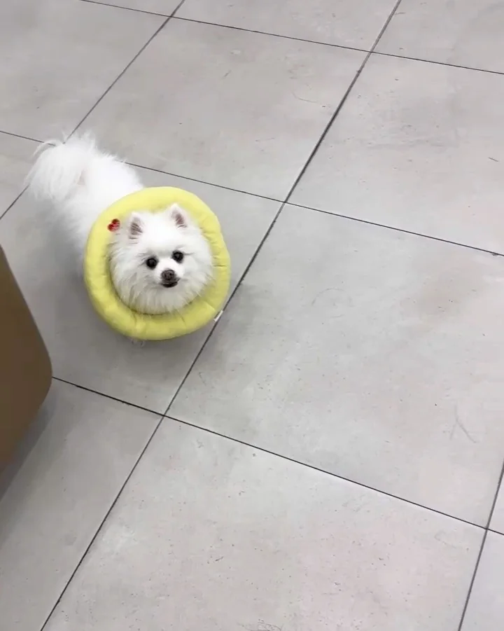 리뷰 사진 1