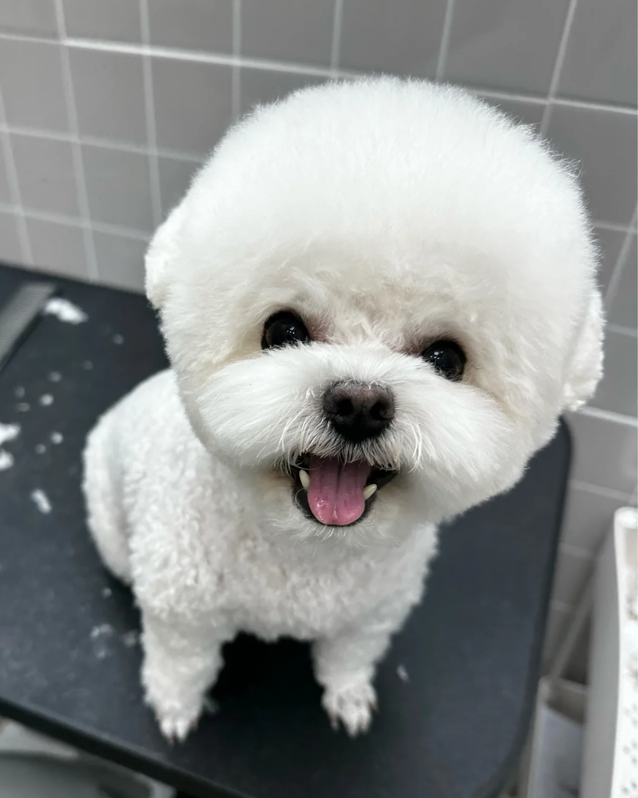 리뷰 사진 1