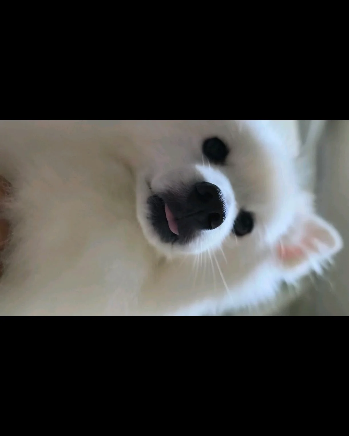 리뷰 사진 1