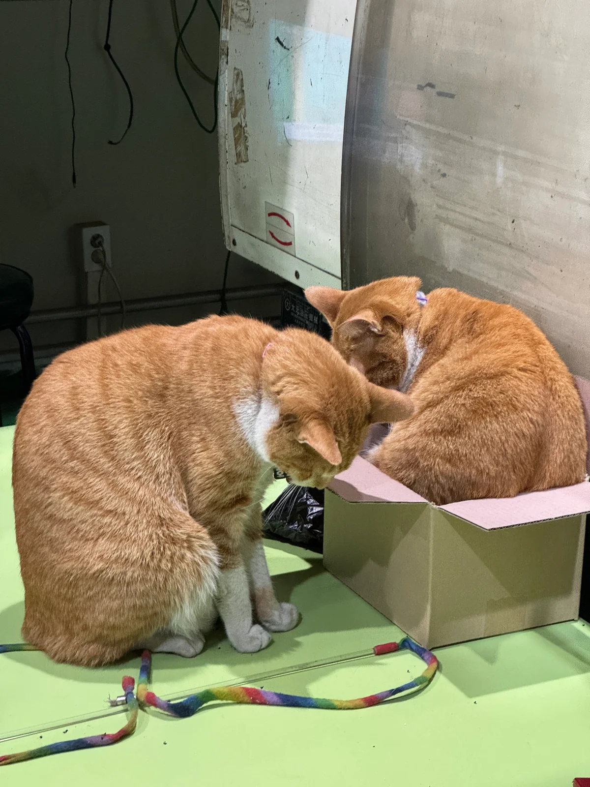 리뷰 사진 1