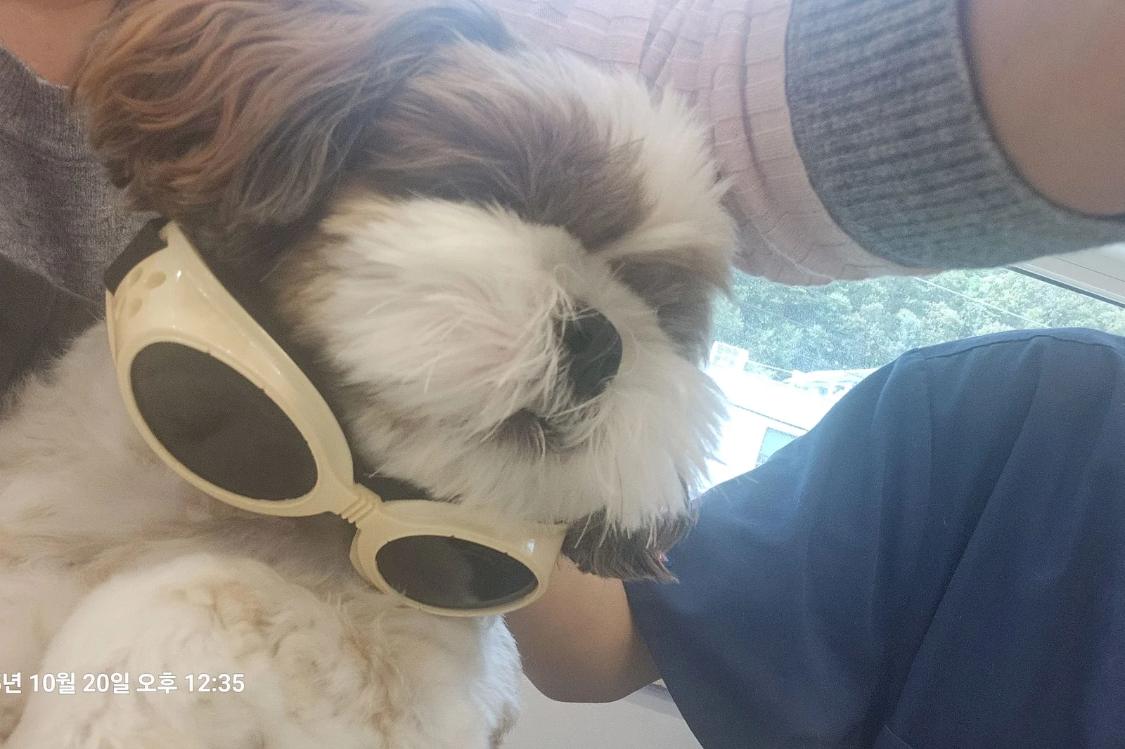 리뷰 사진 1