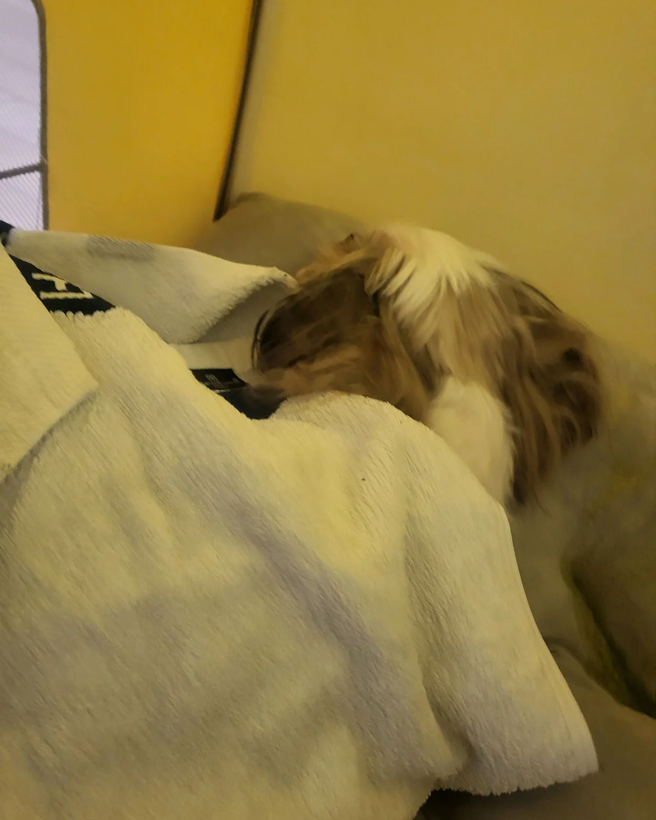 리뷰 사진 2