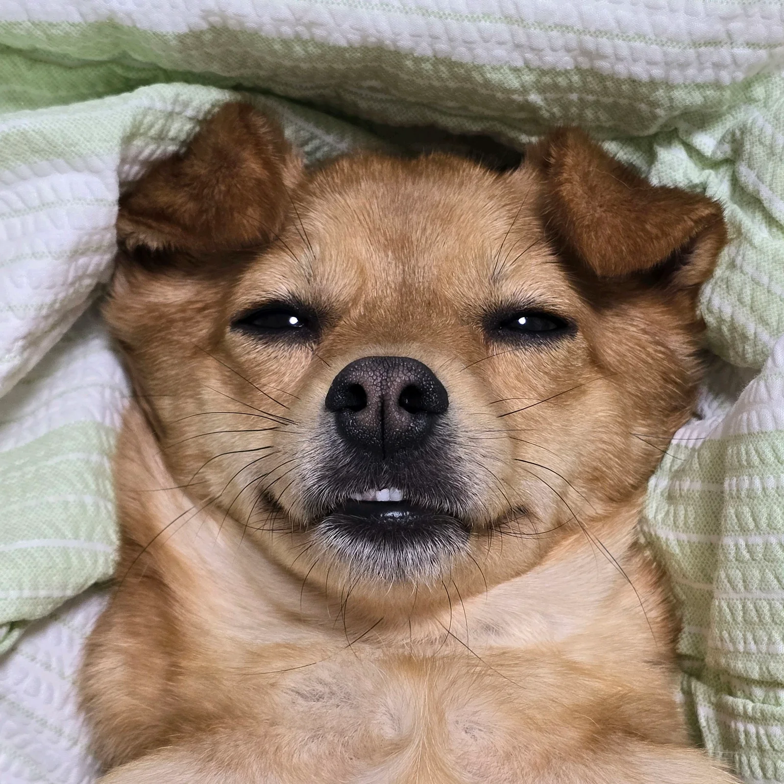 리뷰 사진 1