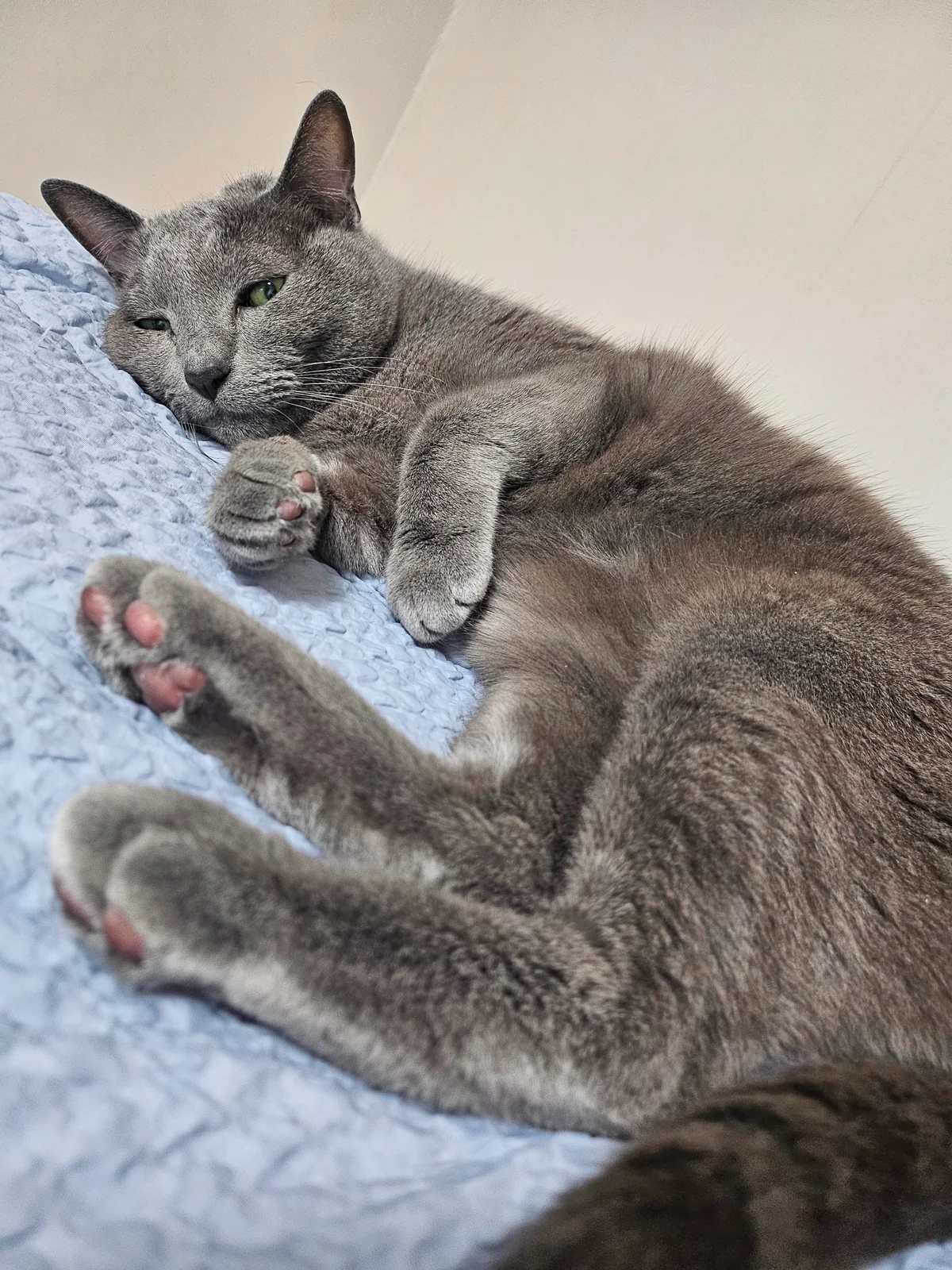 리뷰 사진 1