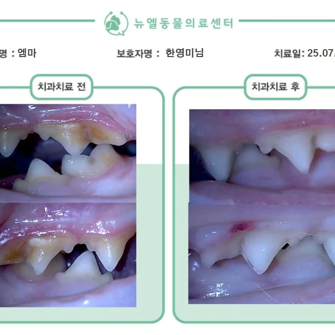 리뷰 사진 1
