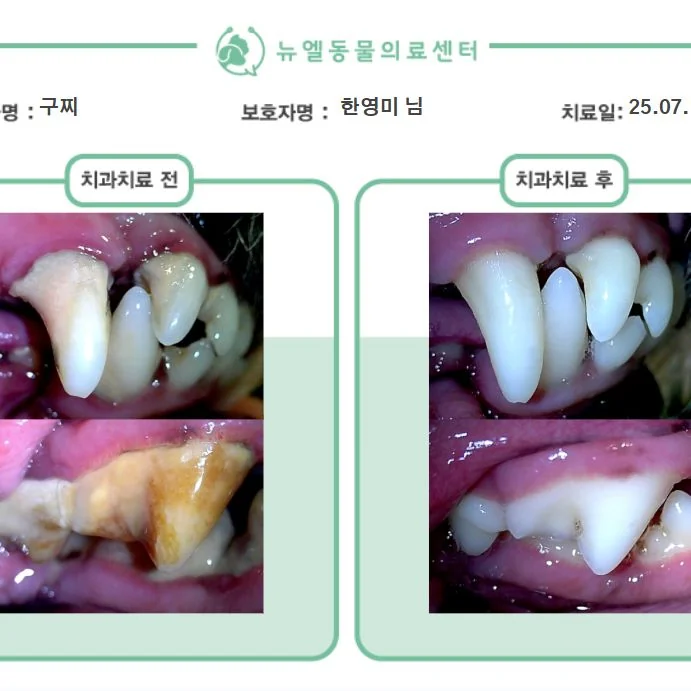 리뷰 사진 2