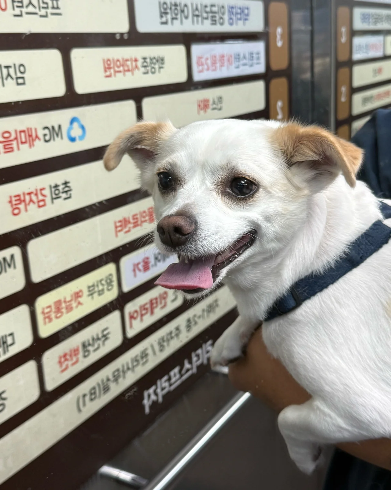 리뷰 사진 4