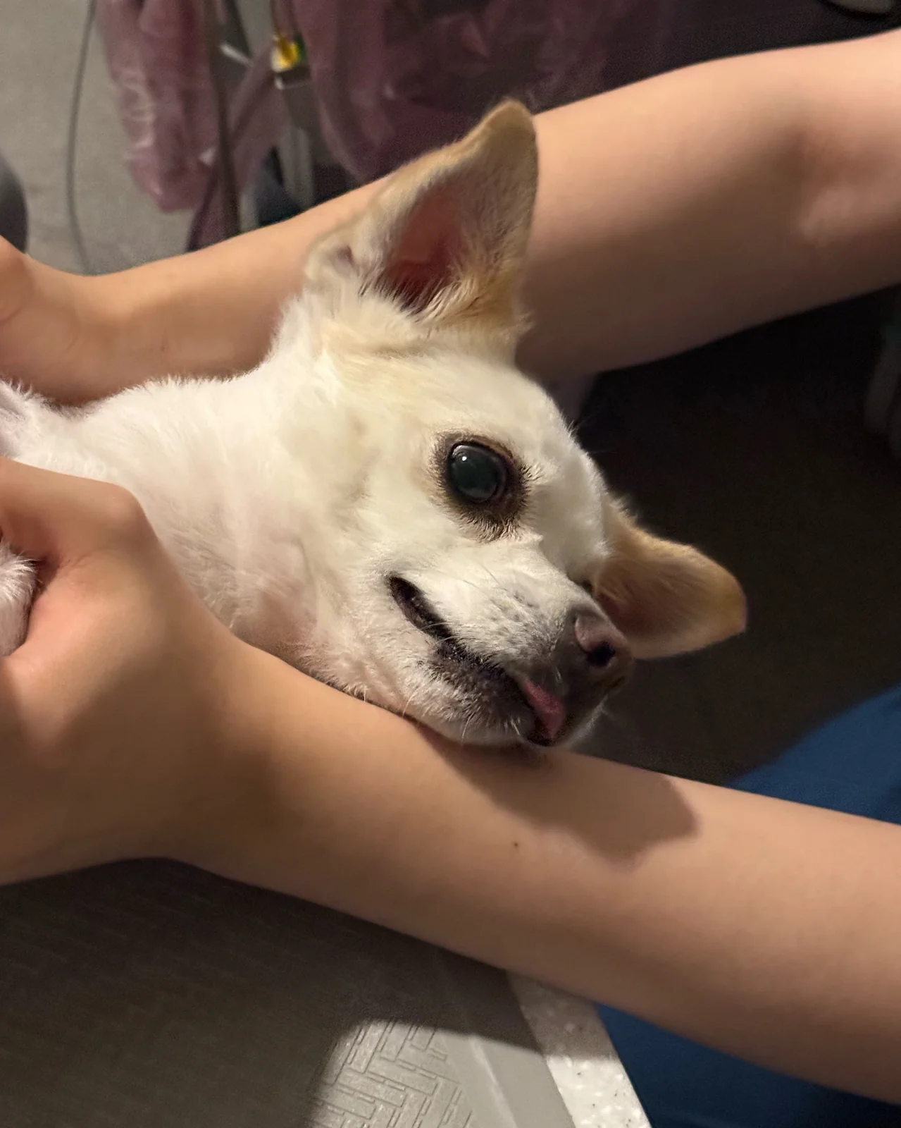 리뷰 사진 6
