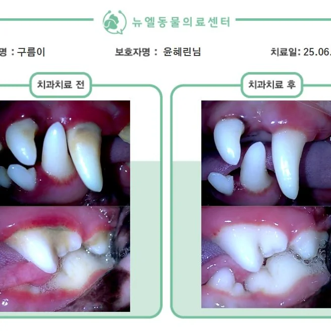 리뷰 사진 1