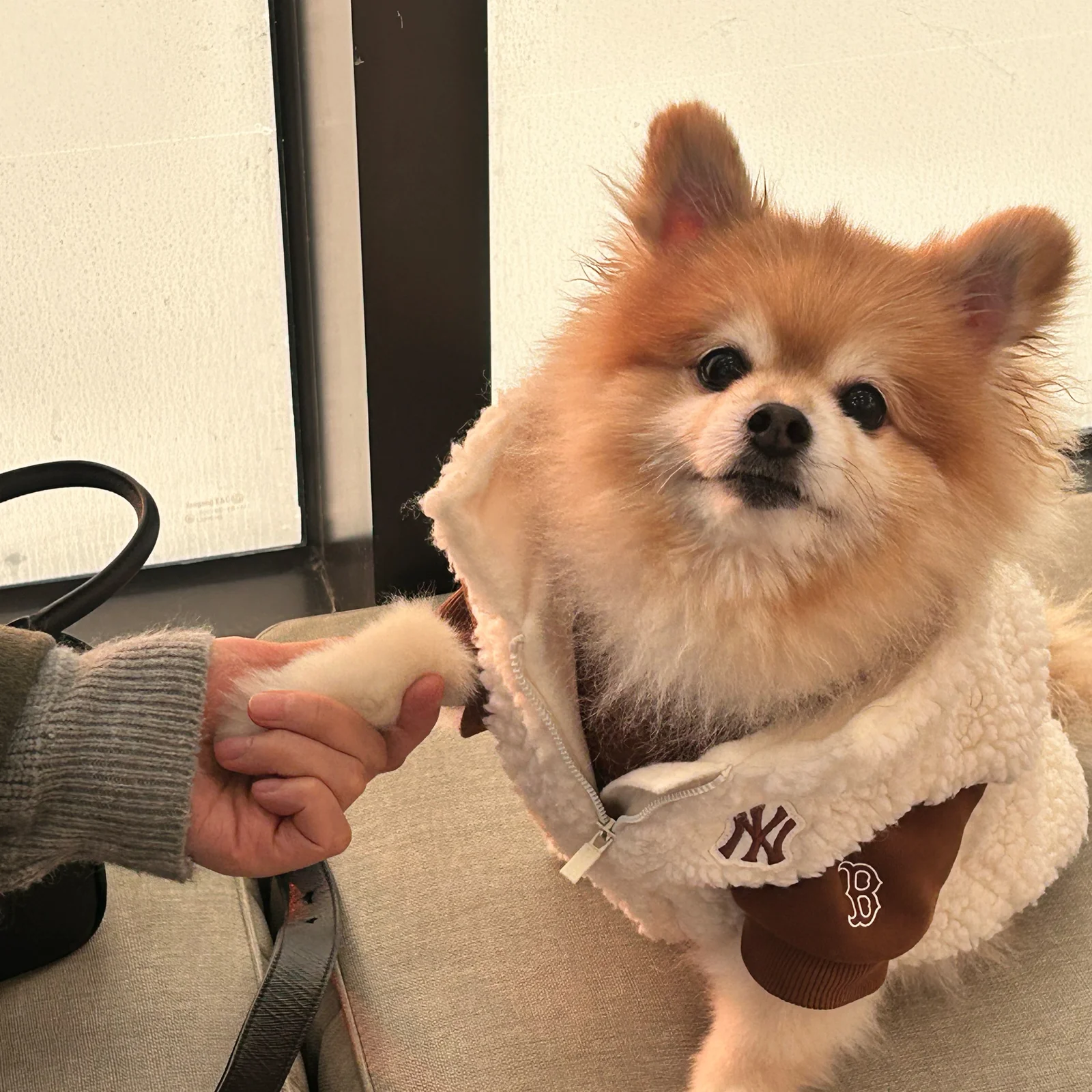 리뷰 사진 2