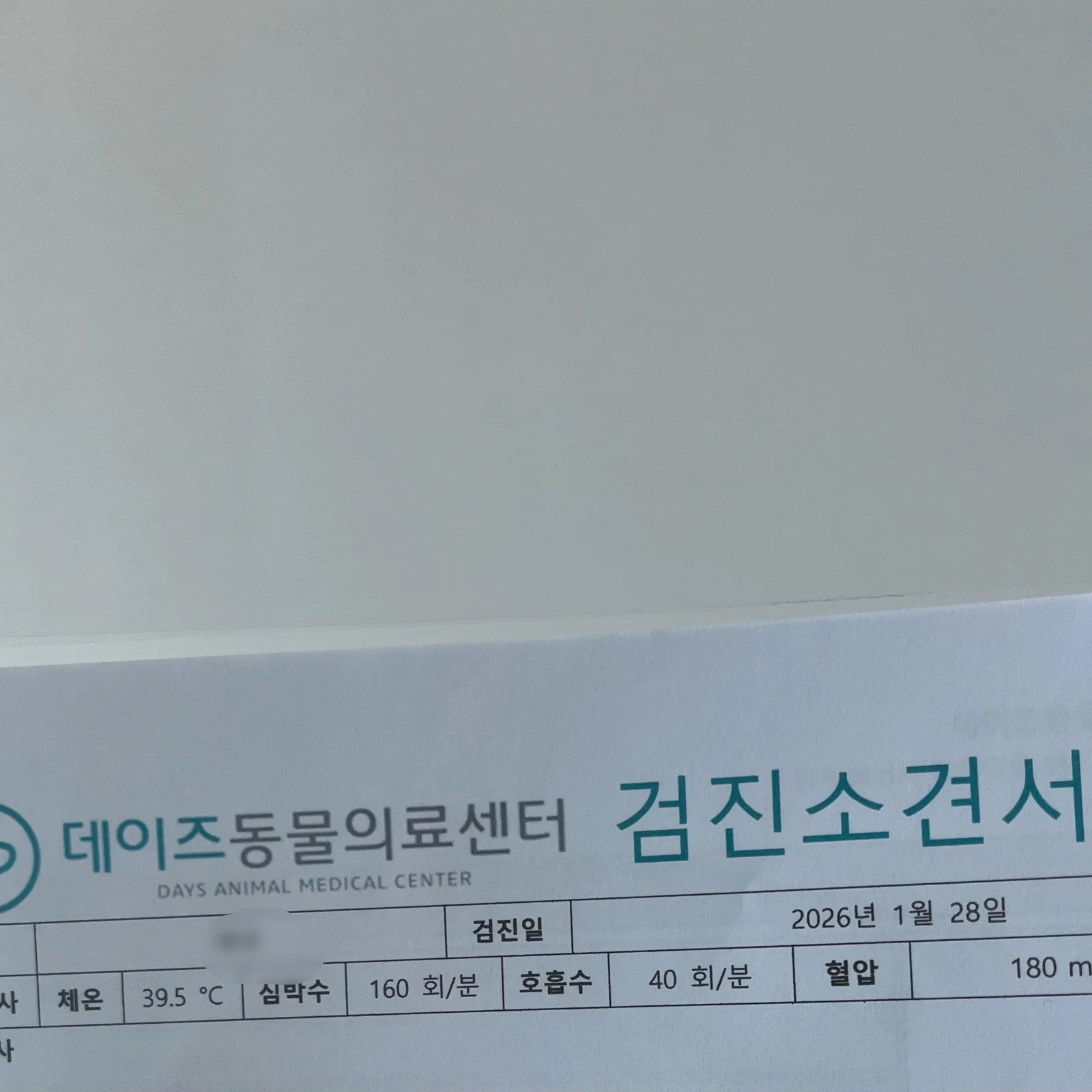리뷰 사진 1