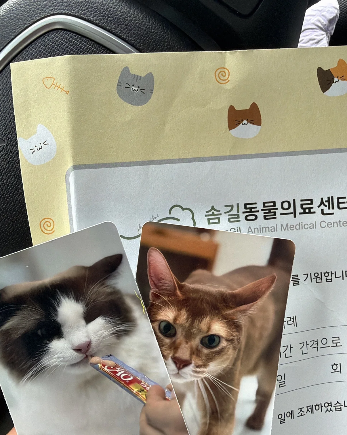 리뷰 사진 1